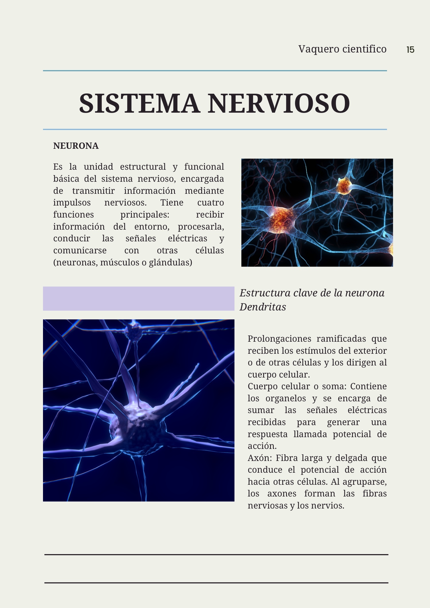 Revista de biología — page 14