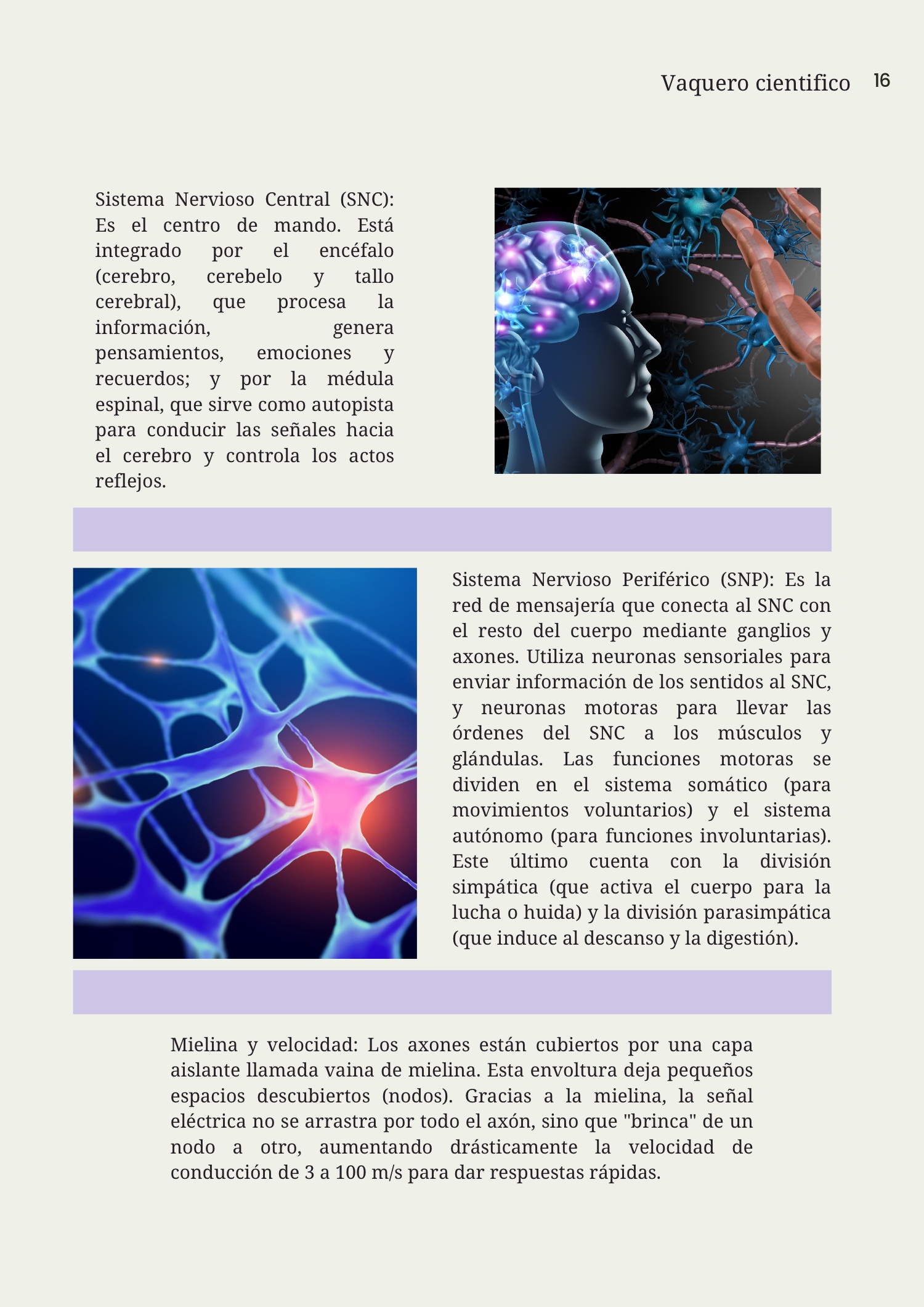 Revista de biología — page 15