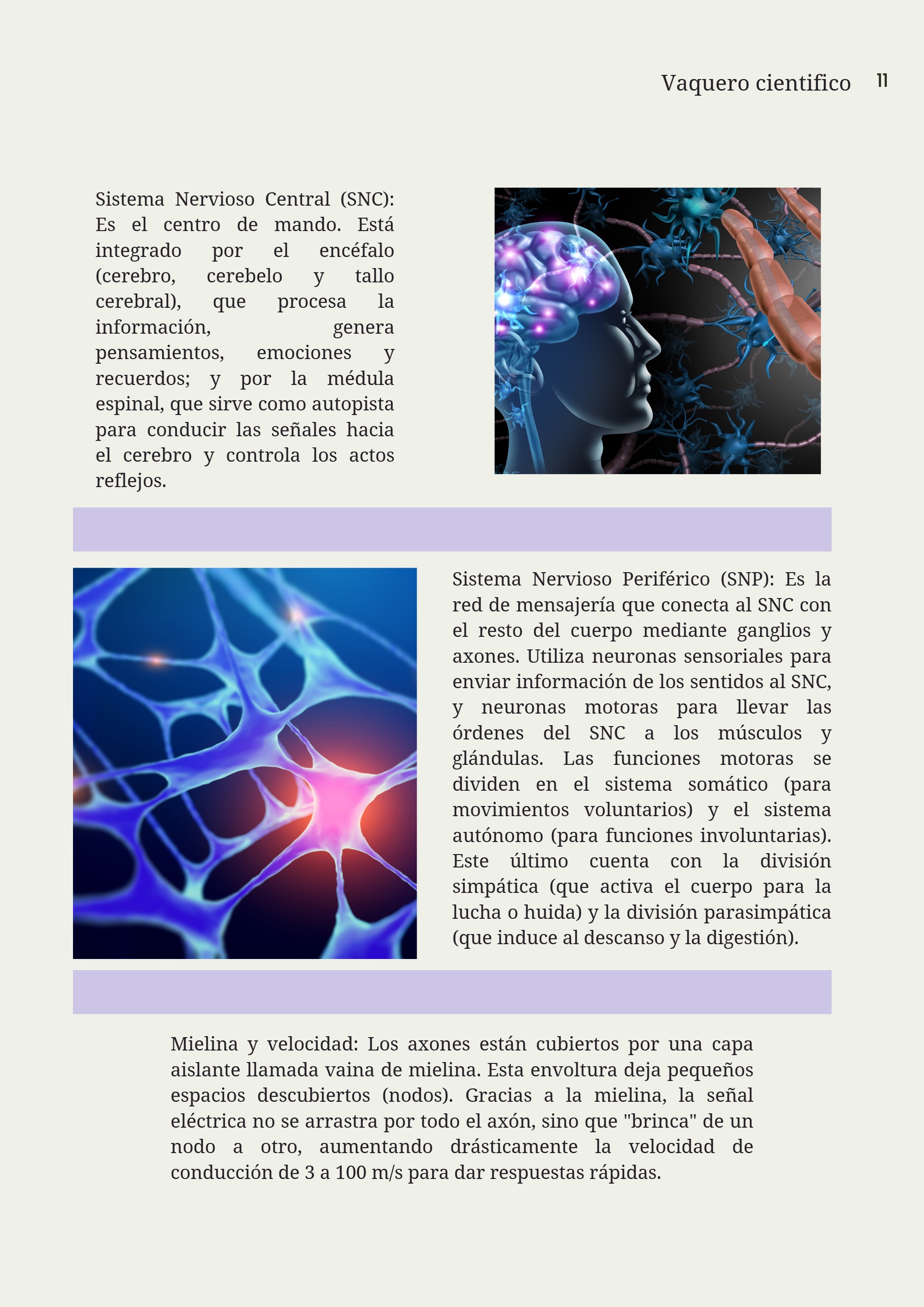 Pía.biologia — page 11