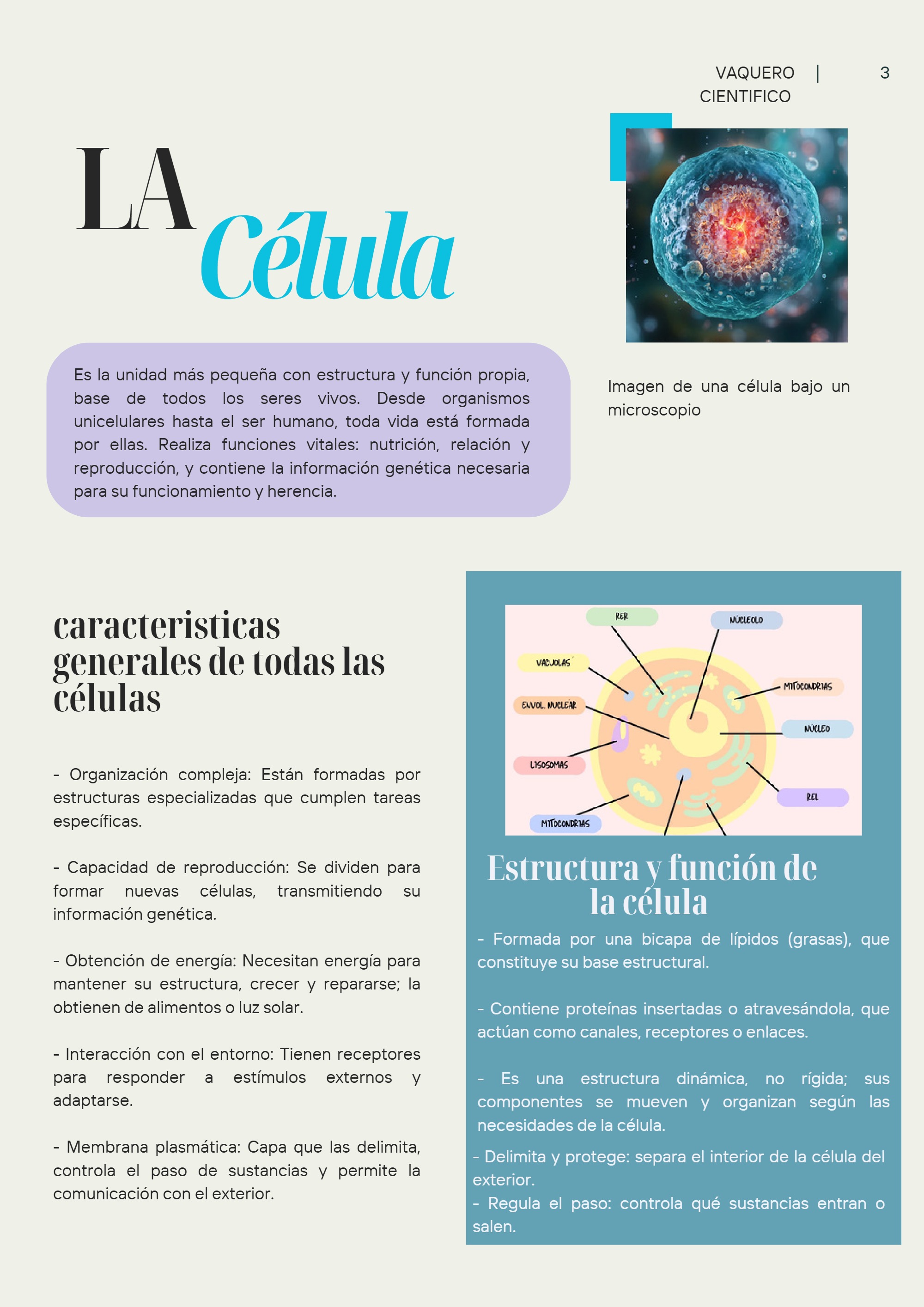 Pía.biologia — page 3