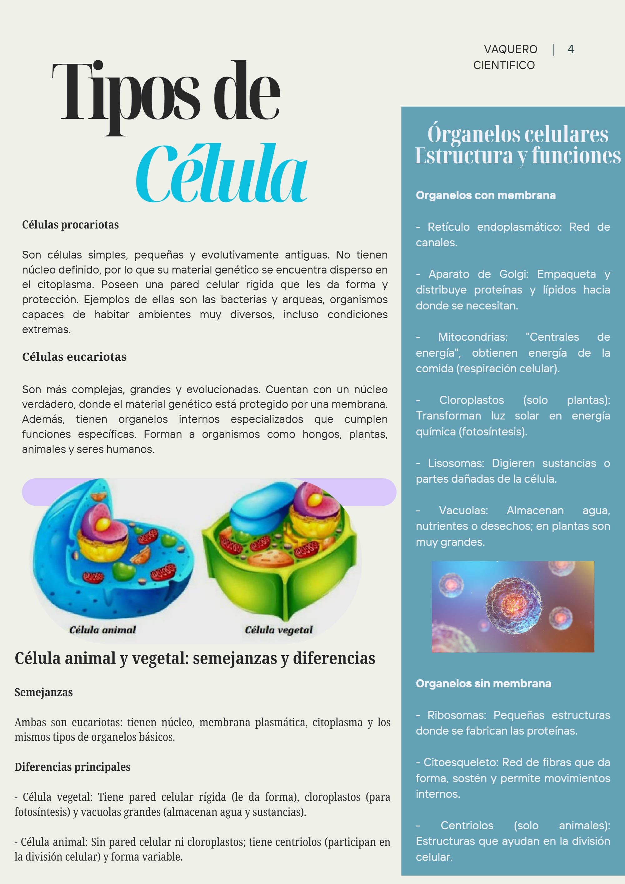 Pía.biologia — page 4
