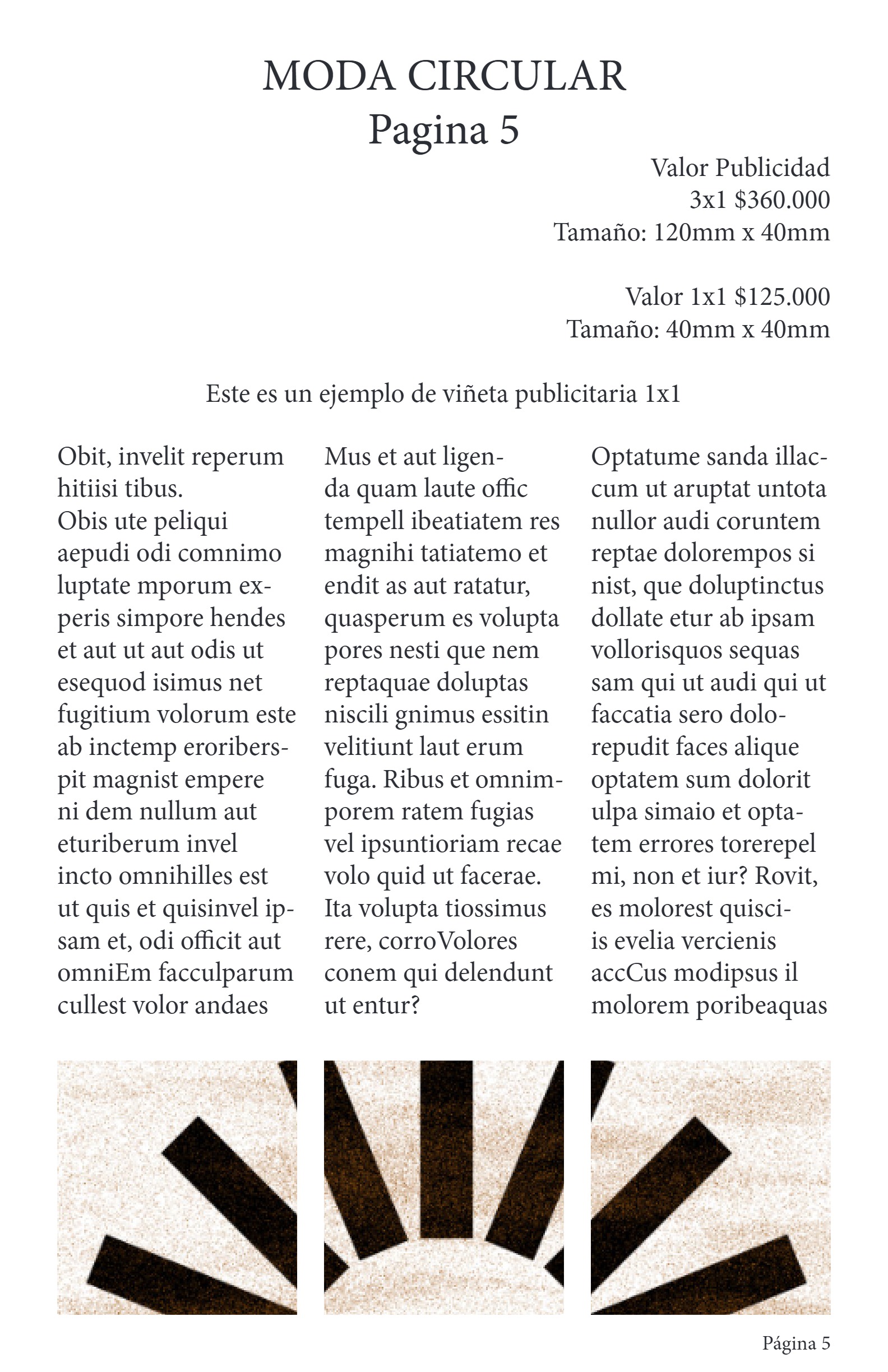 PIDUCO EXPRESS PUBLICIDAD — page 5