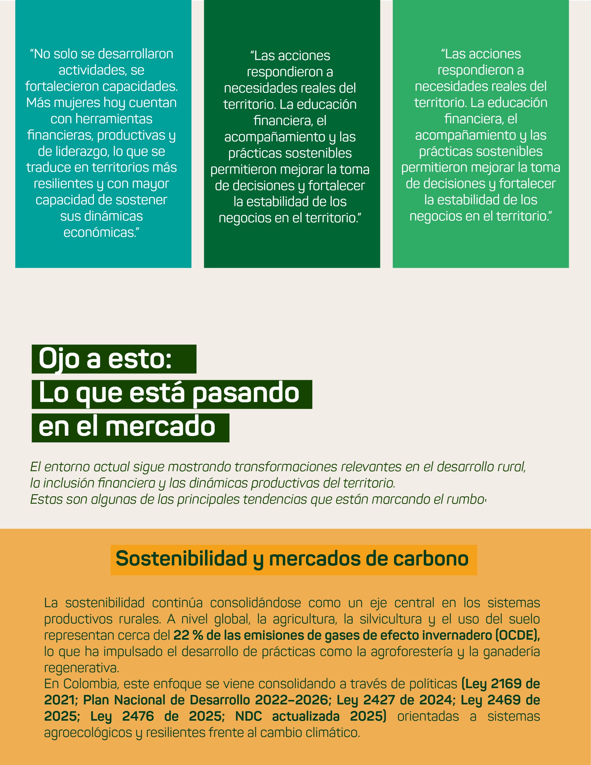 Boletín_Bimensual -Abril-Mayo — page 33