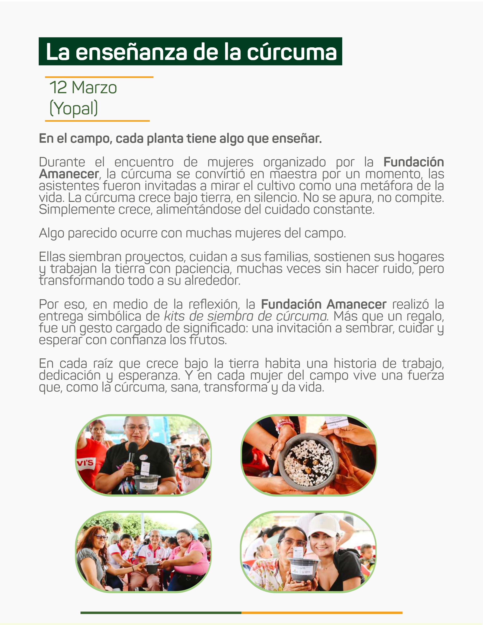 Boletín_Bimensual -Abril-Mayo — page 7