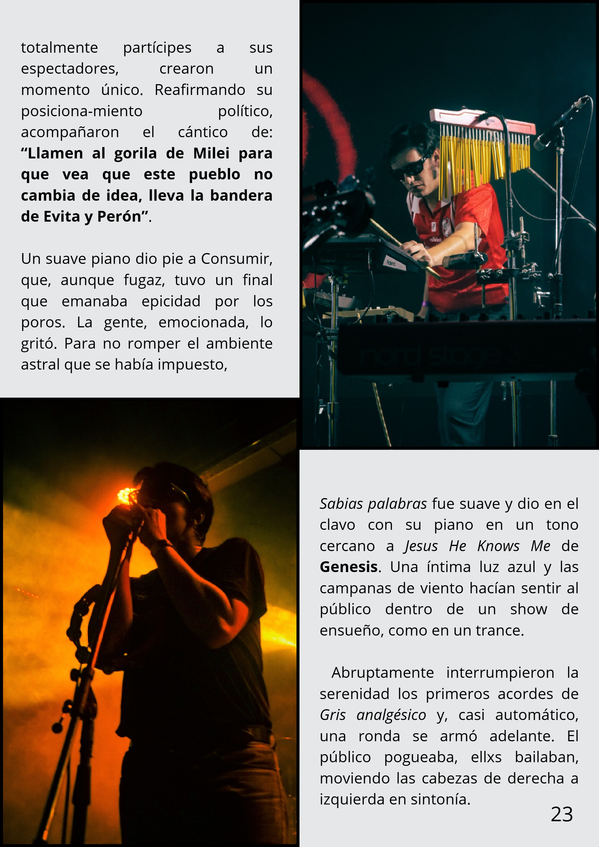 FUEGO #11 - Tapa Homogénica — page 23