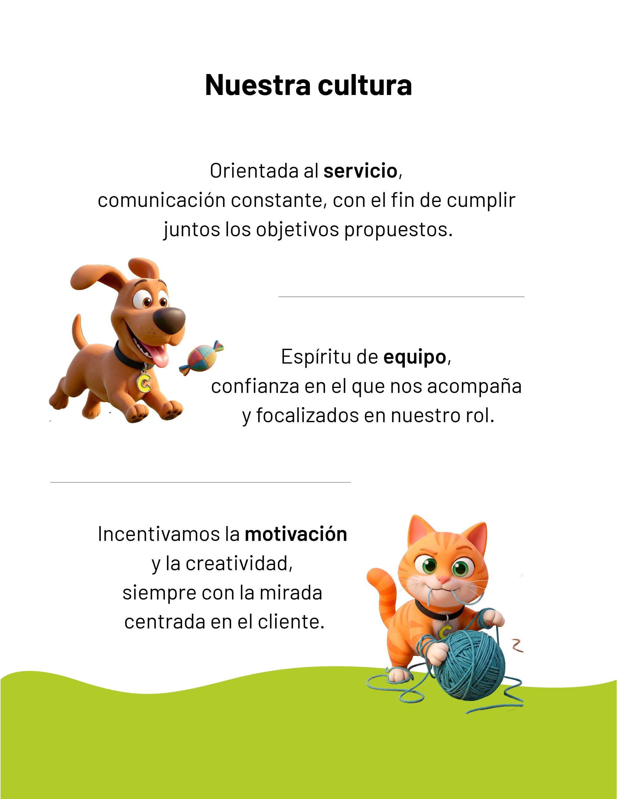 Brochure — page 3