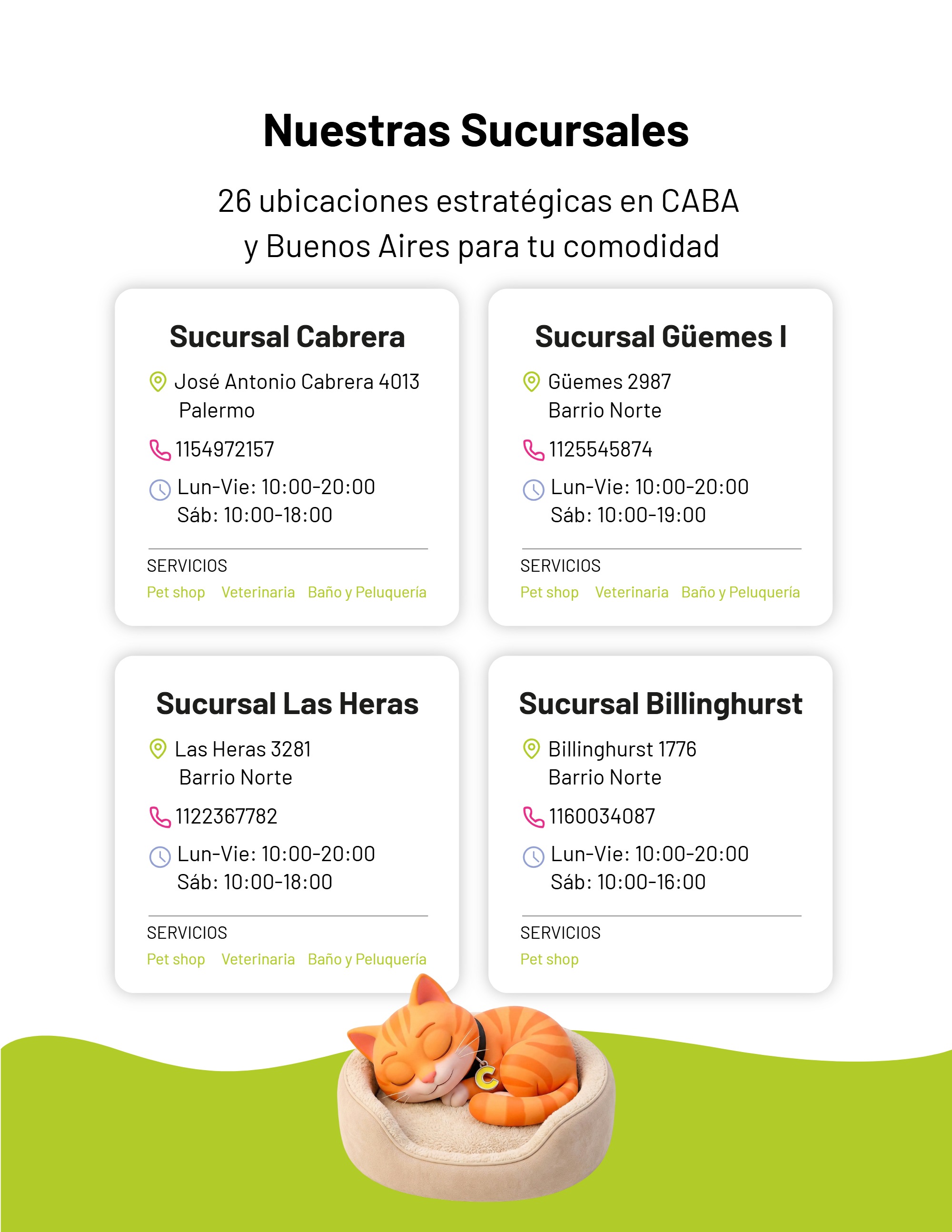 Brochure — page 8