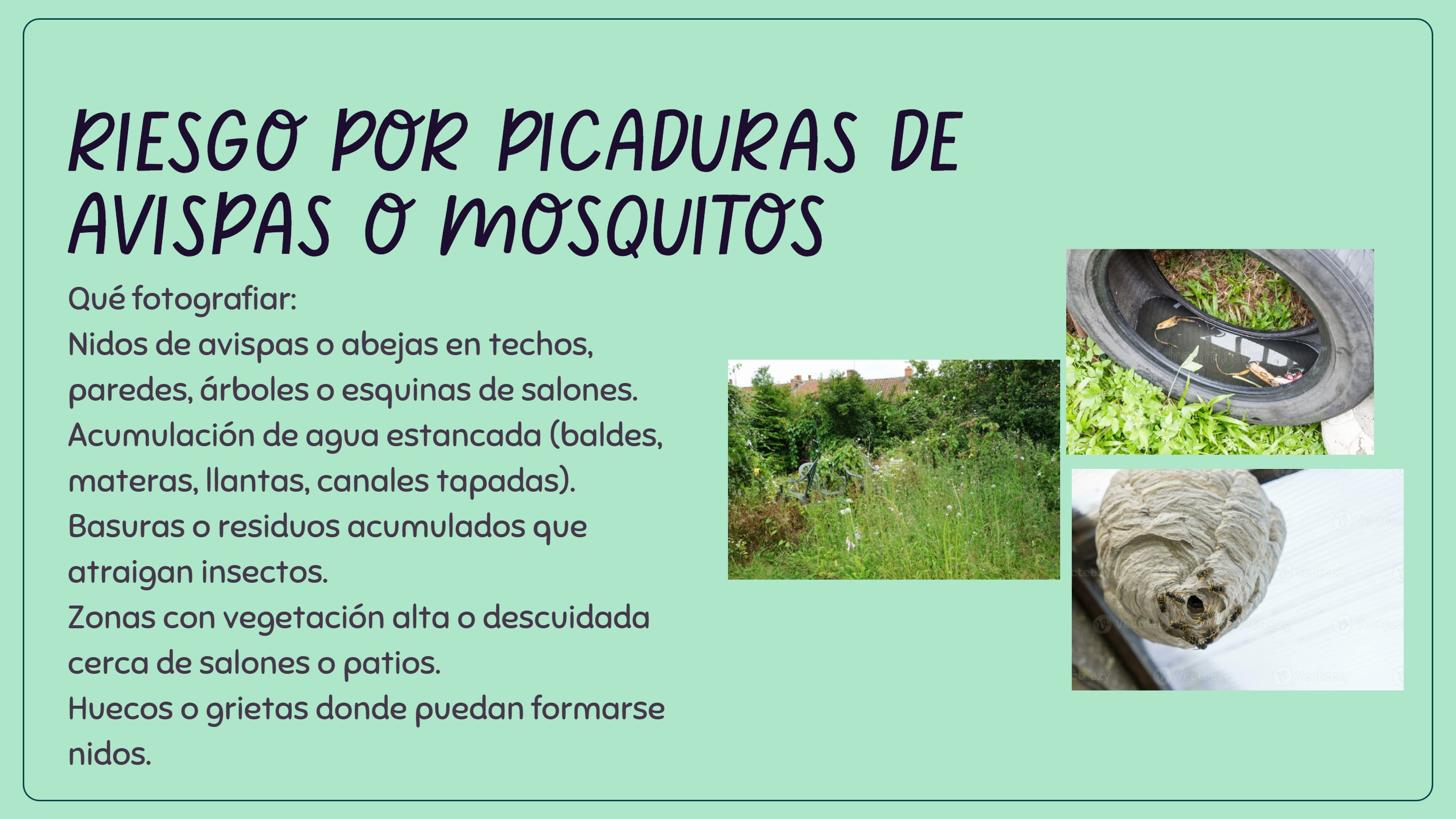 IDENTIFICACION DE RIESGOS — page 7