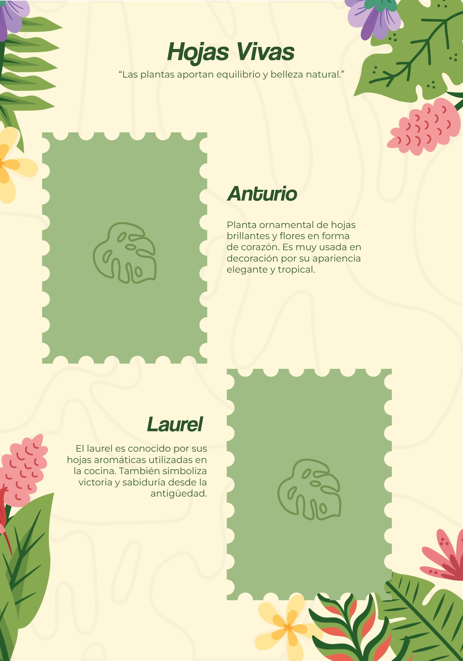 Album — page 3