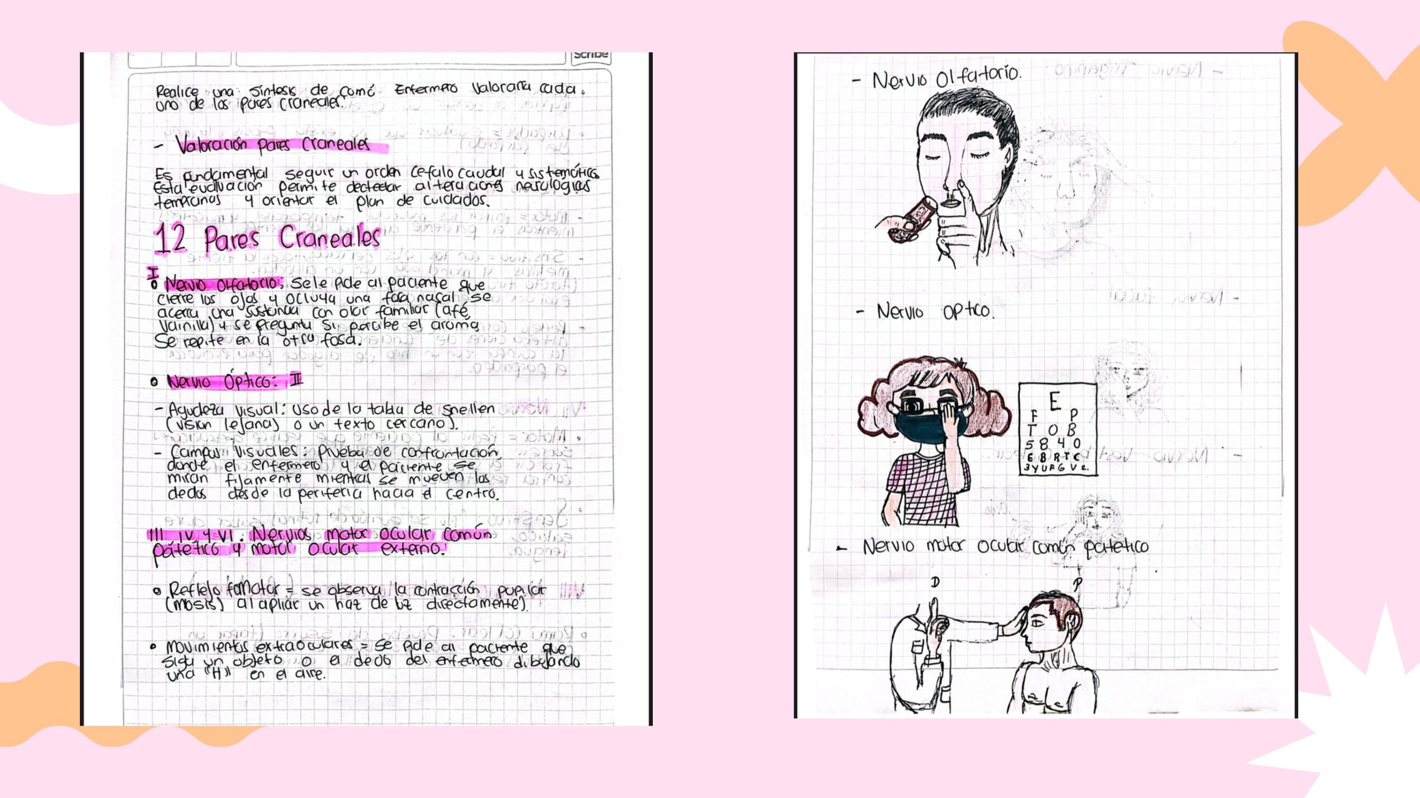 Presentación Portafolio Laura Berrio — page 13
