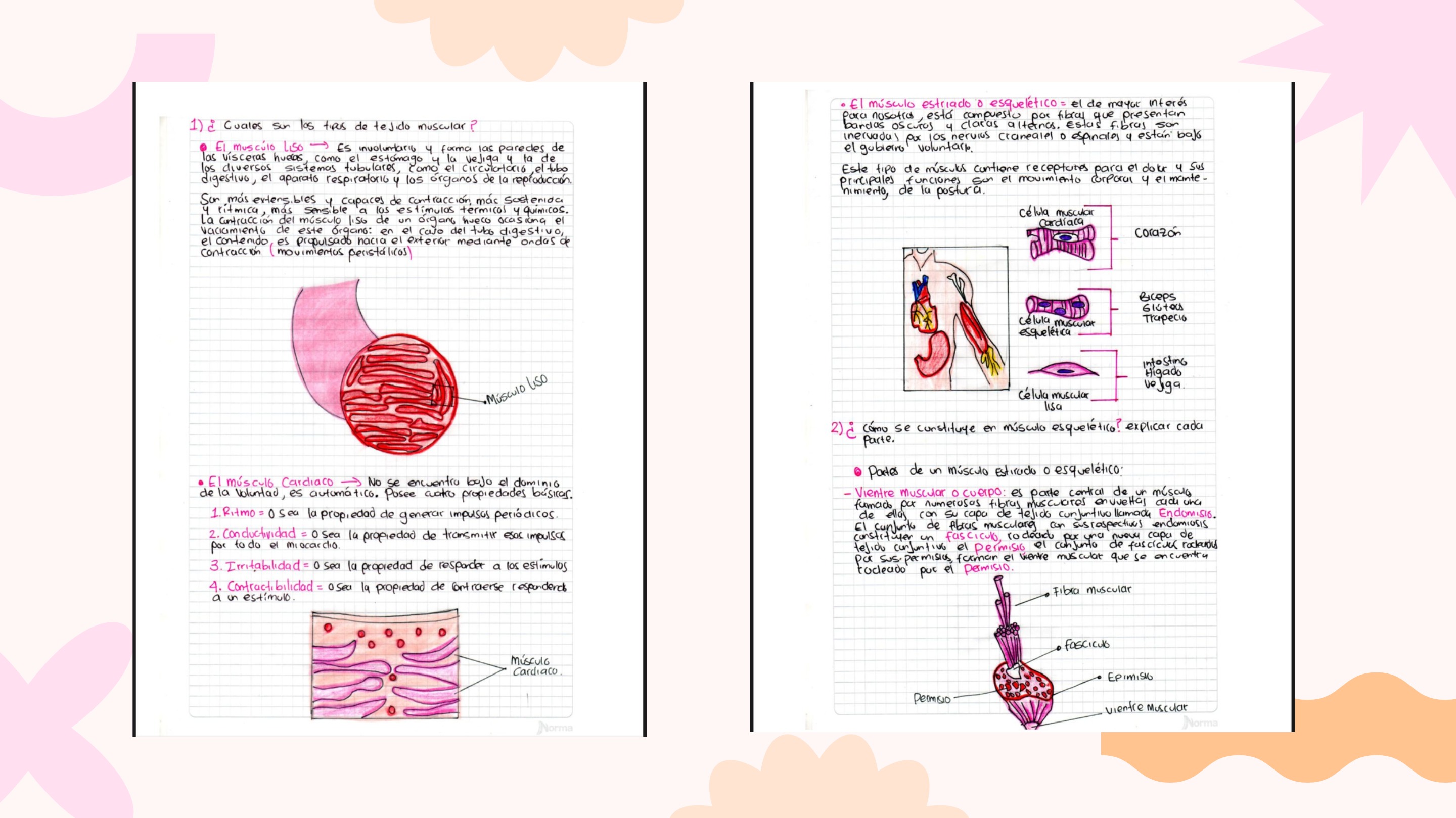 Presentación Portafolio Laura Berrio — page 5