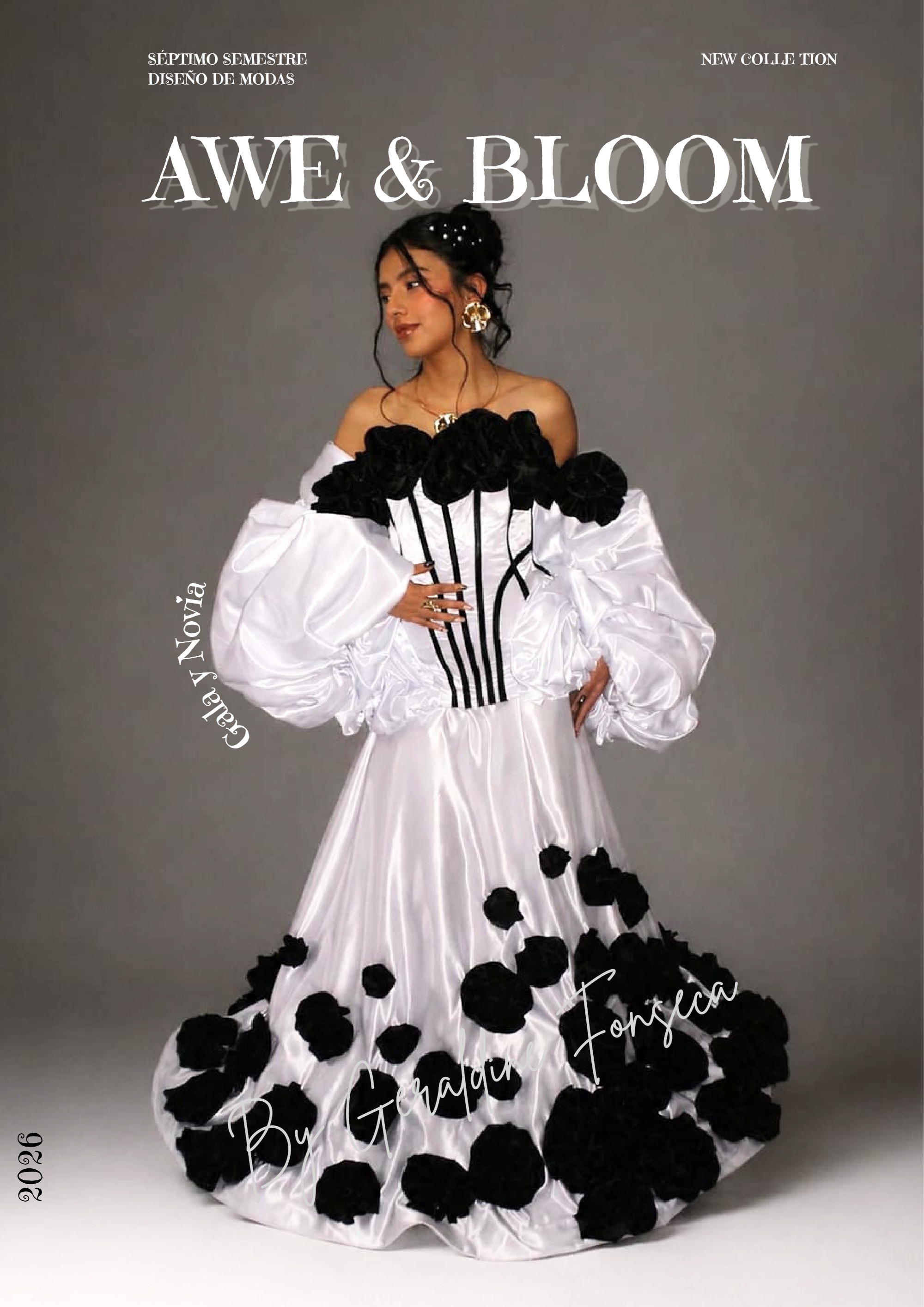 REVISTA OK (1)
