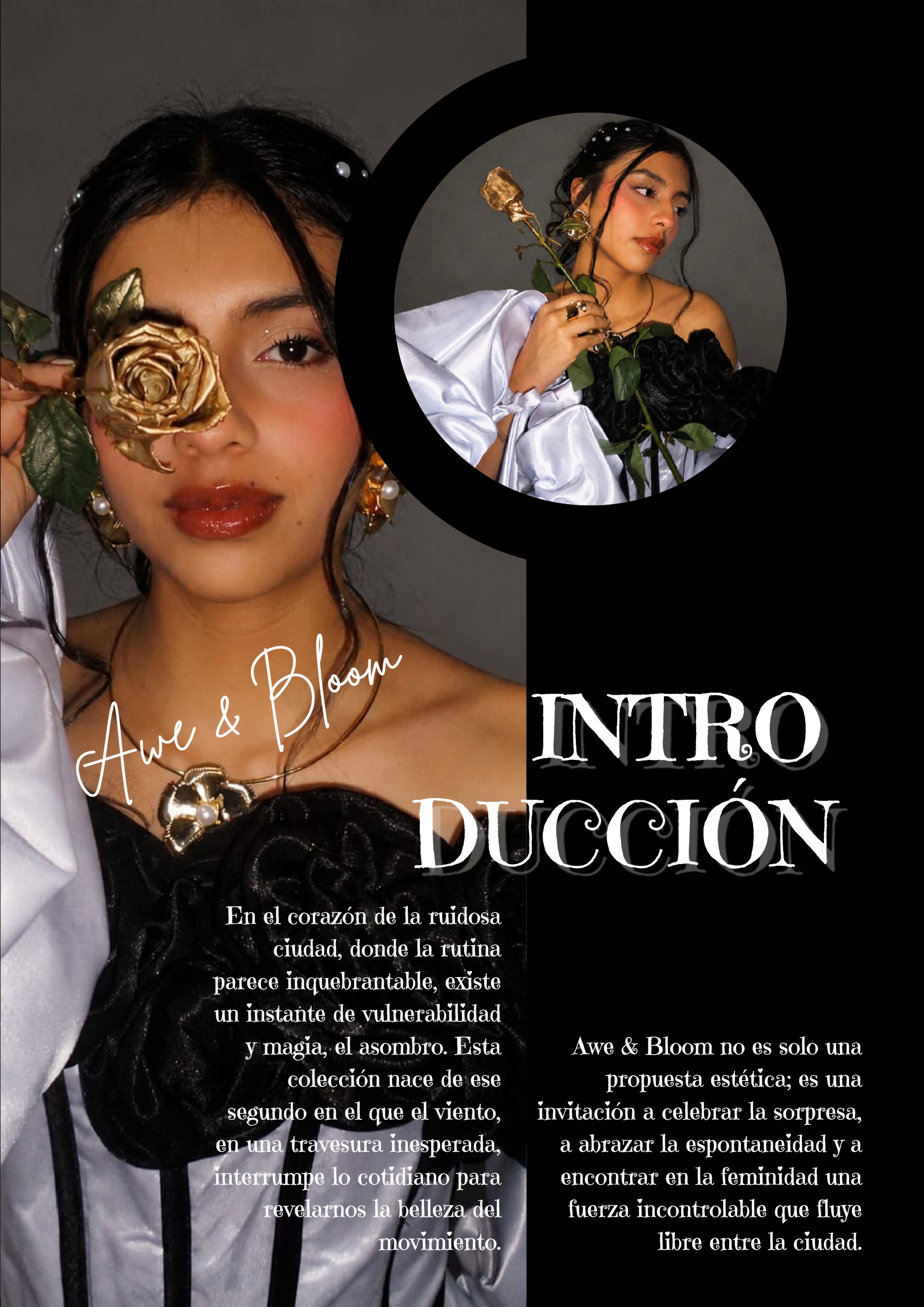 REVISTA OK (1) — page 3