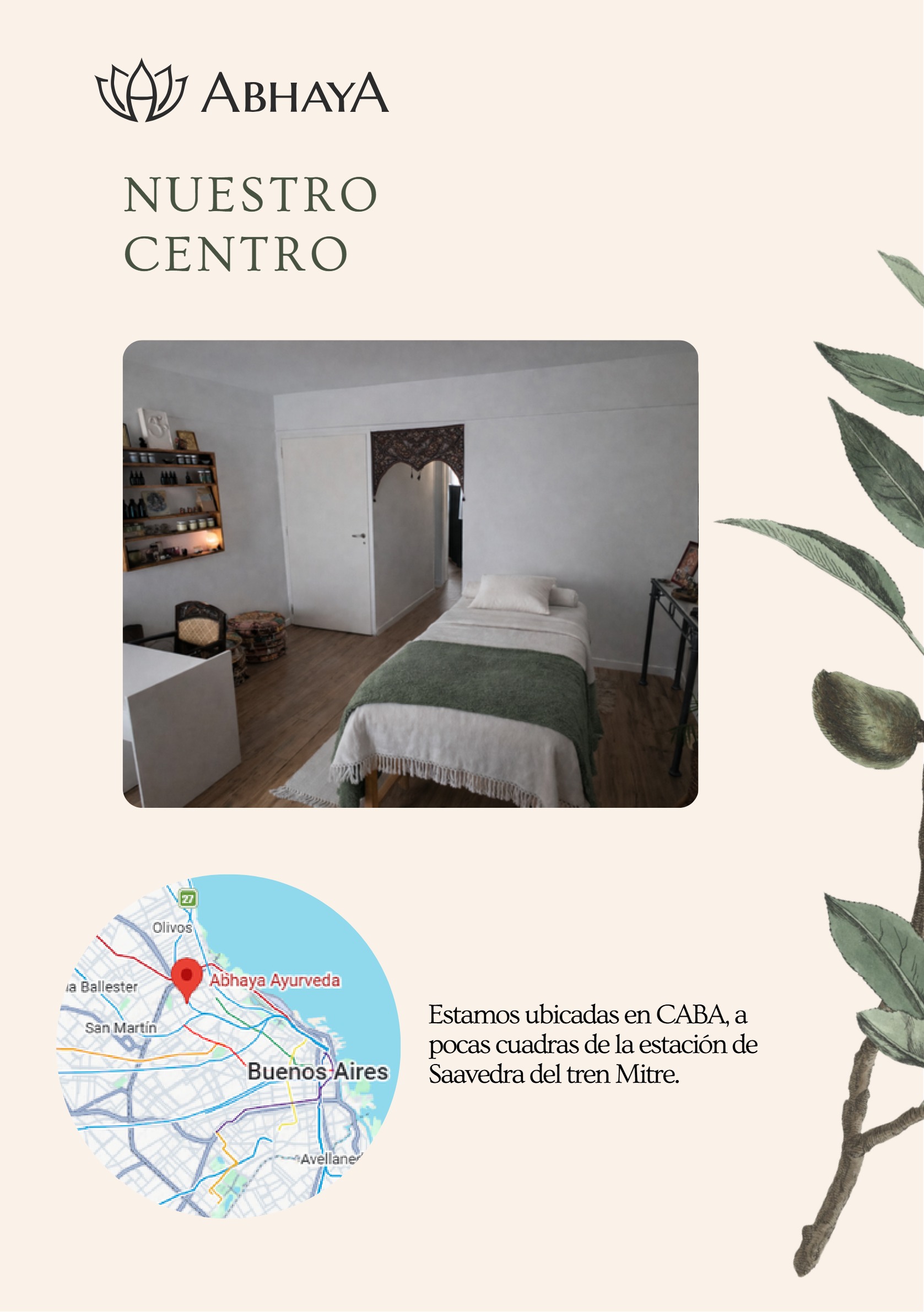 Brochure Para Médicos Ayurvédicos — page 8