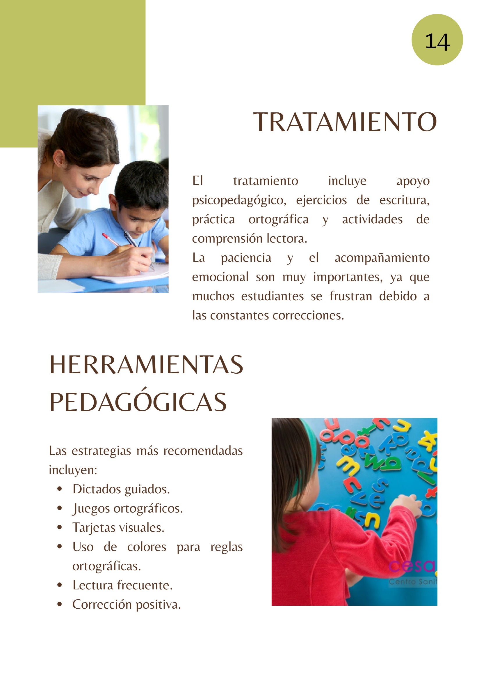 Revista TRANSTORNOS EDUCATIVOS — page 16