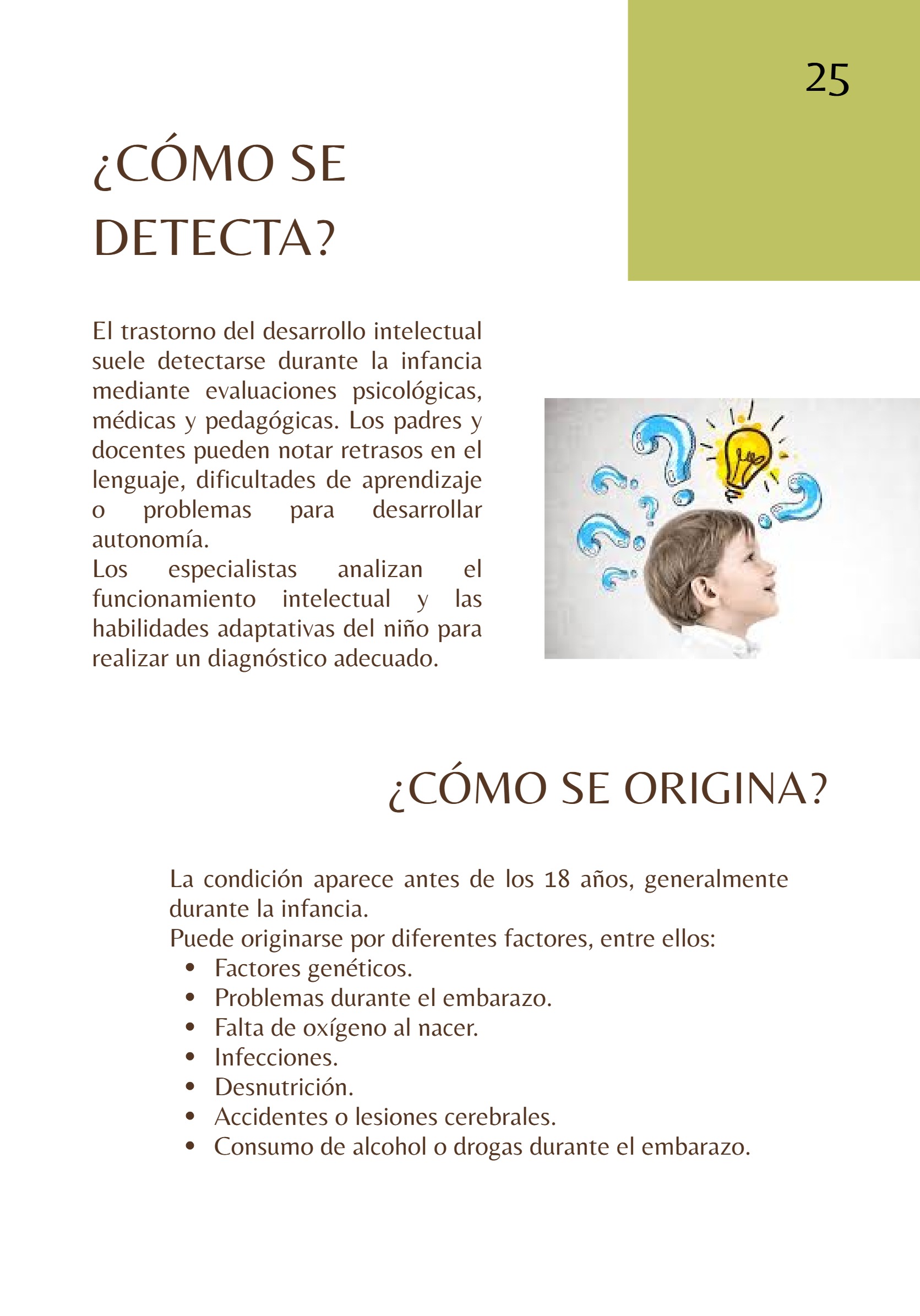Revista TRANSTORNOS EDUCATIVOS — page 27
