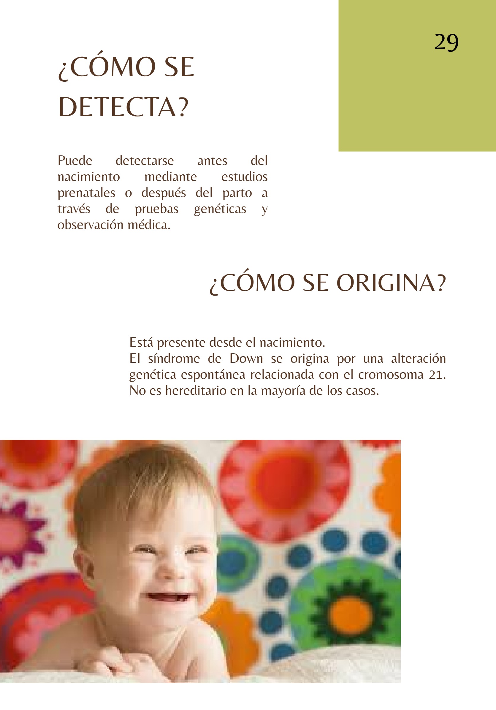 Revista TRANSTORNOS EDUCATIVOS — page 31
