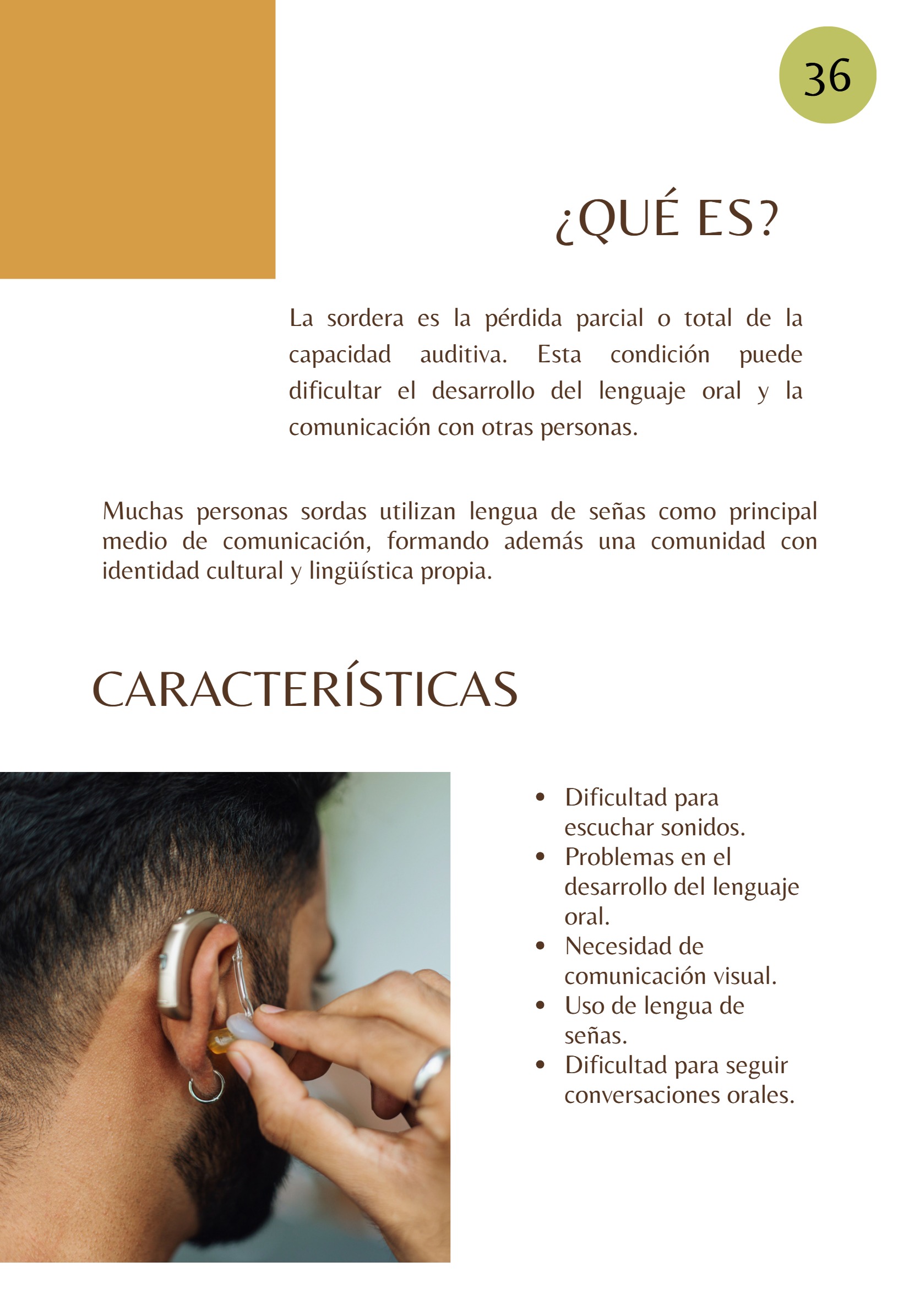 Revista TRANSTORNOS EDUCATIVOS — page 38