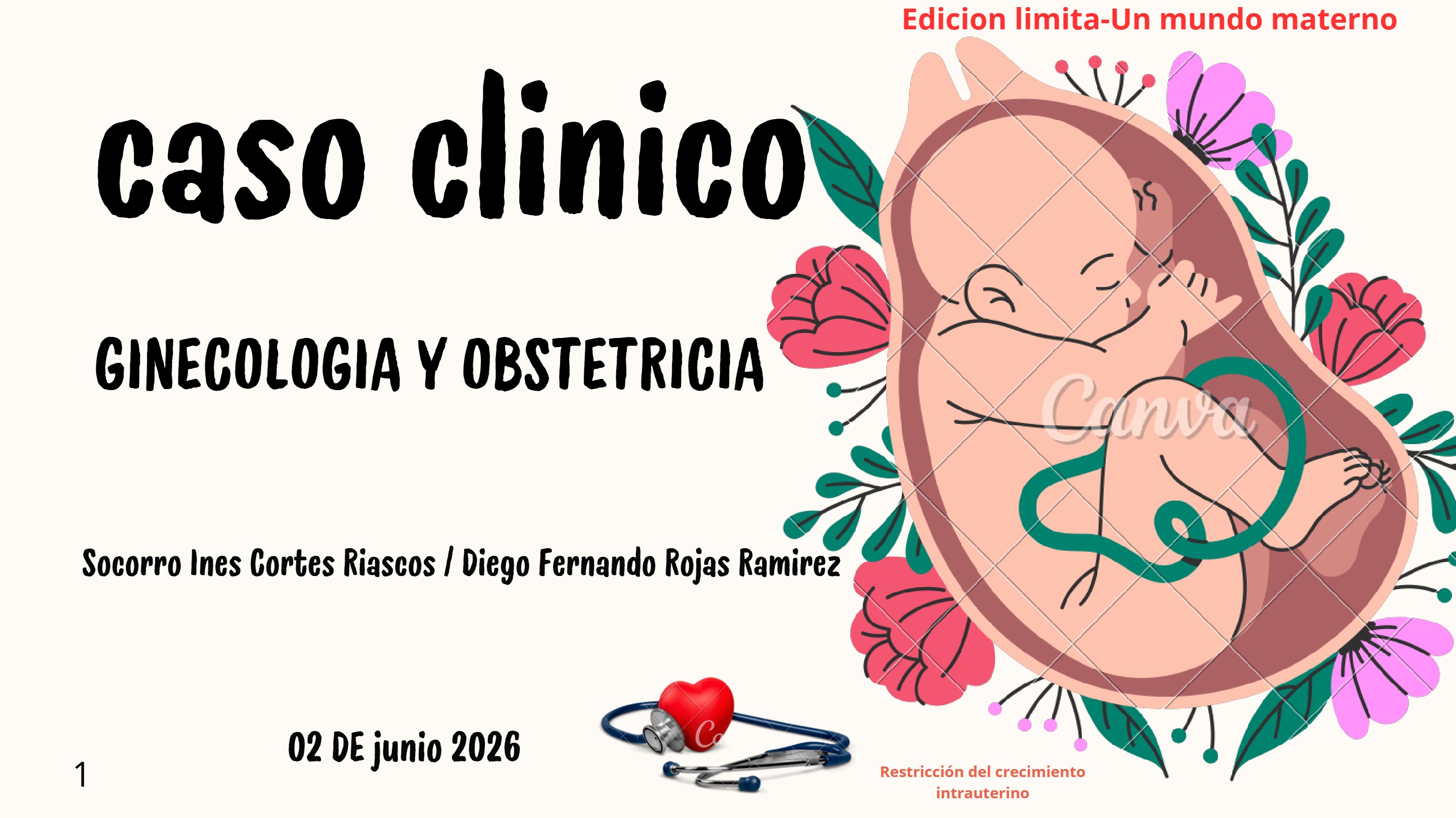 Presentación Embarazo Parto Matrona Mujer Doctora Ilustrado Sencillo Beige (2)