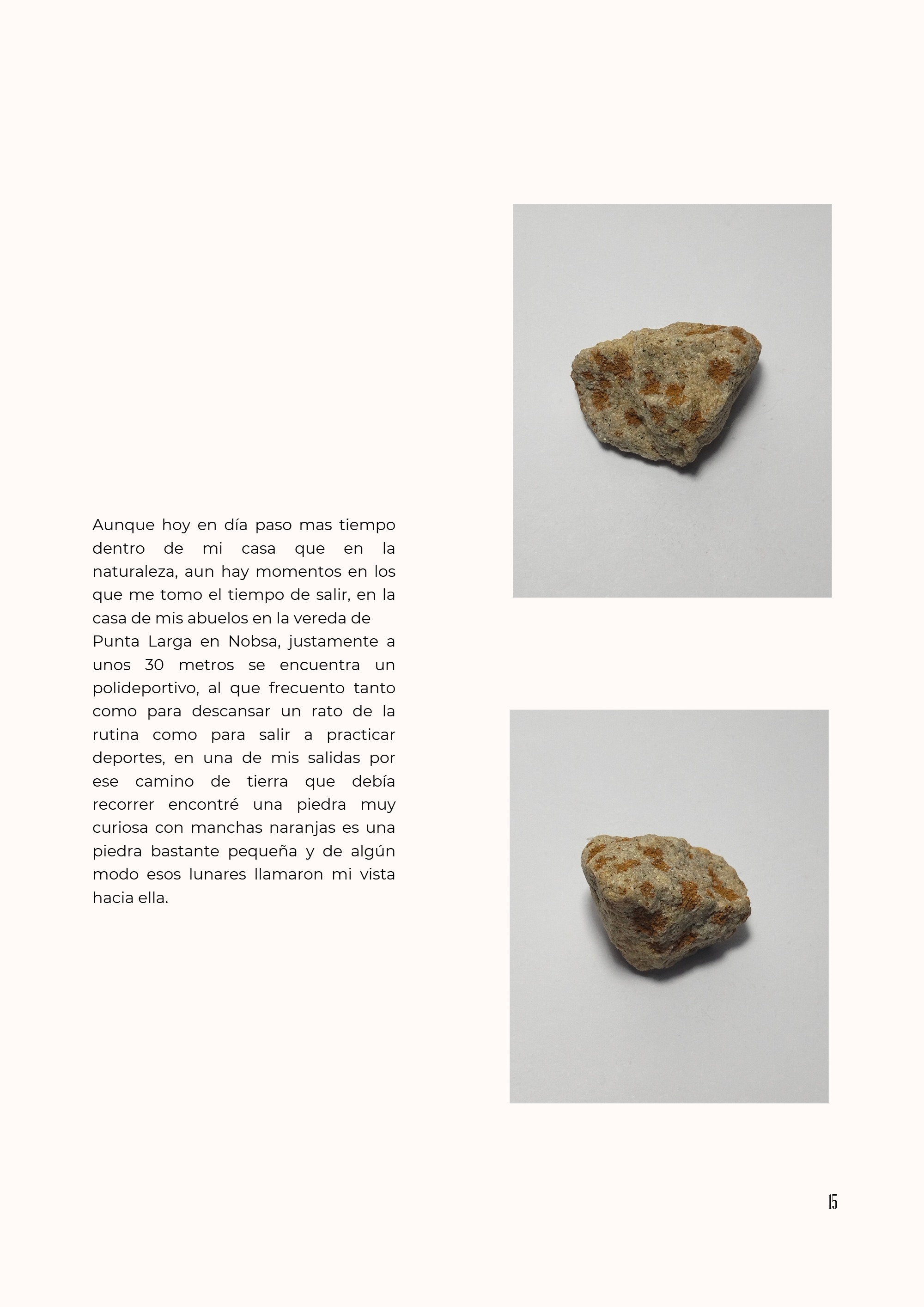 Coleccion Piedras Daniel Pinilla - Museo Digital — page 15