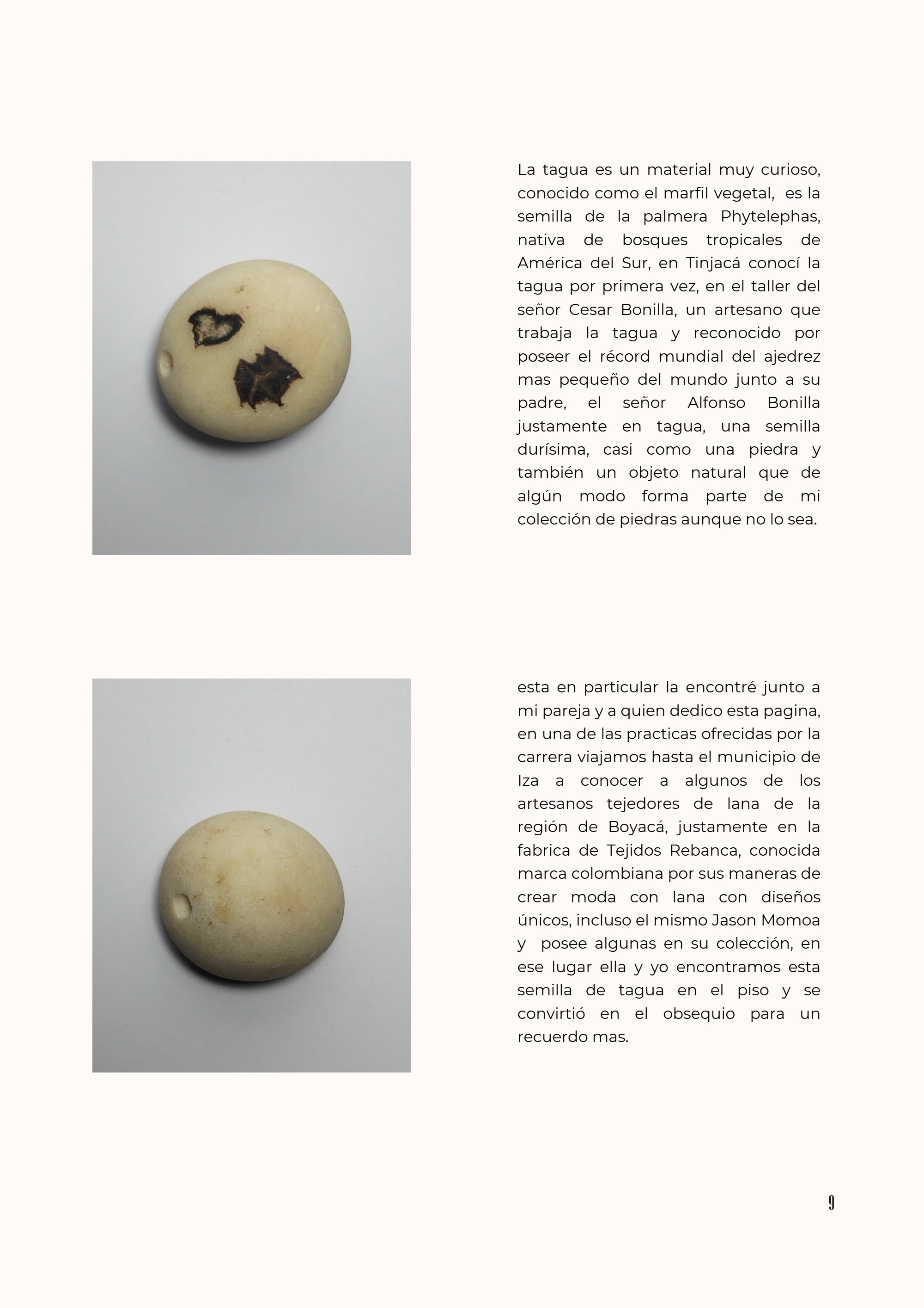 Coleccion Piedras Daniel Pinilla - Museo Digital — page 9