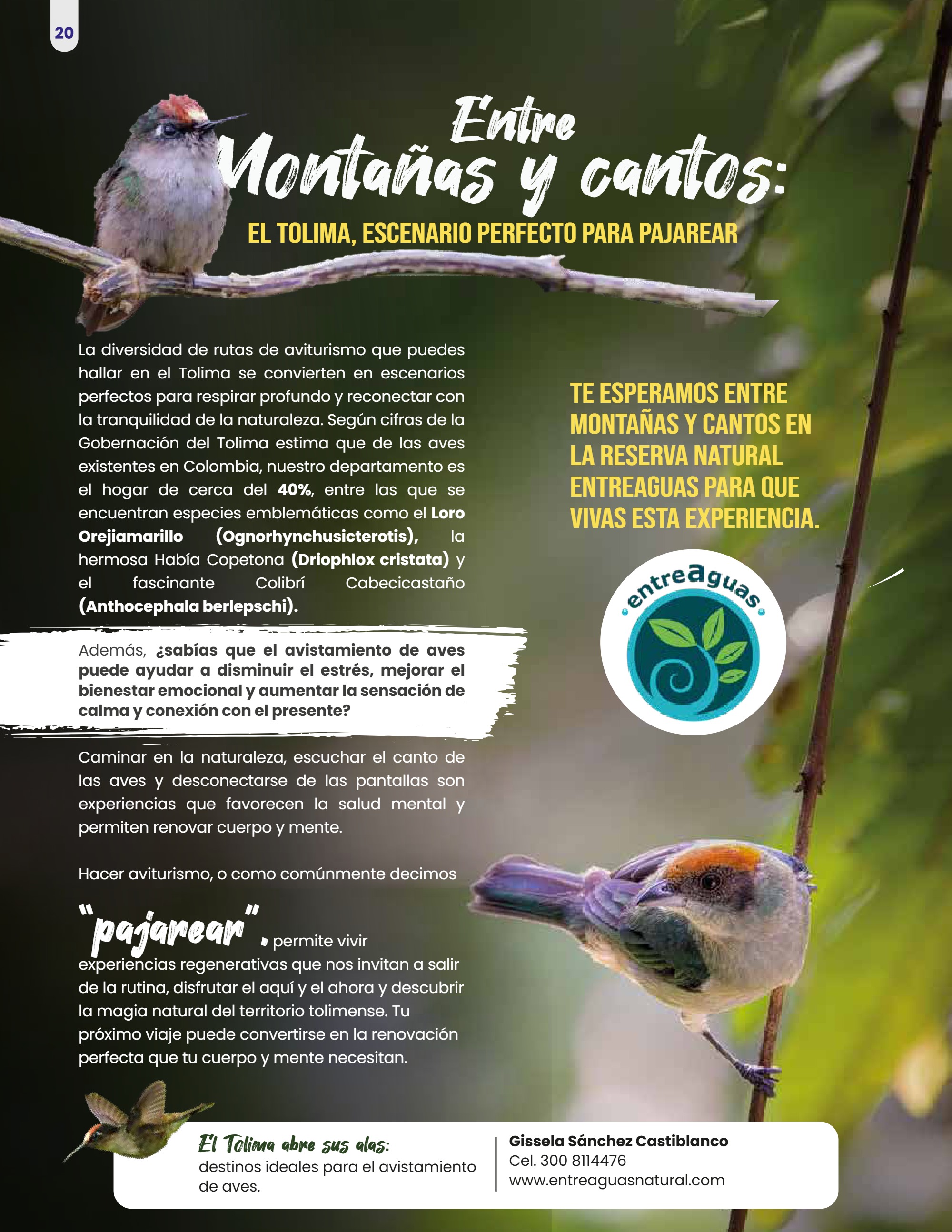 REVISTA RUTA COLOMBIA — page 22