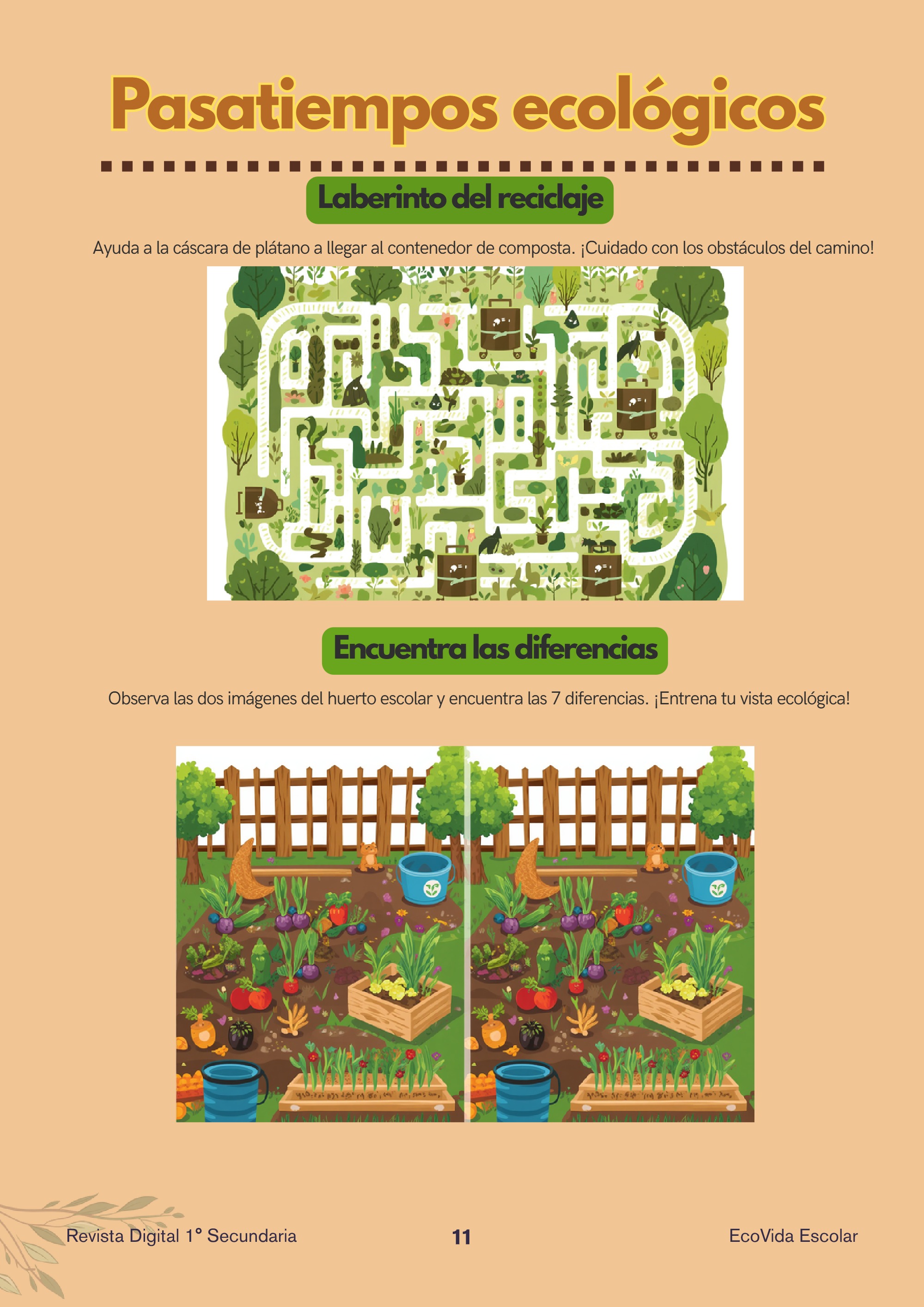 Revista_EcoVida — page 11