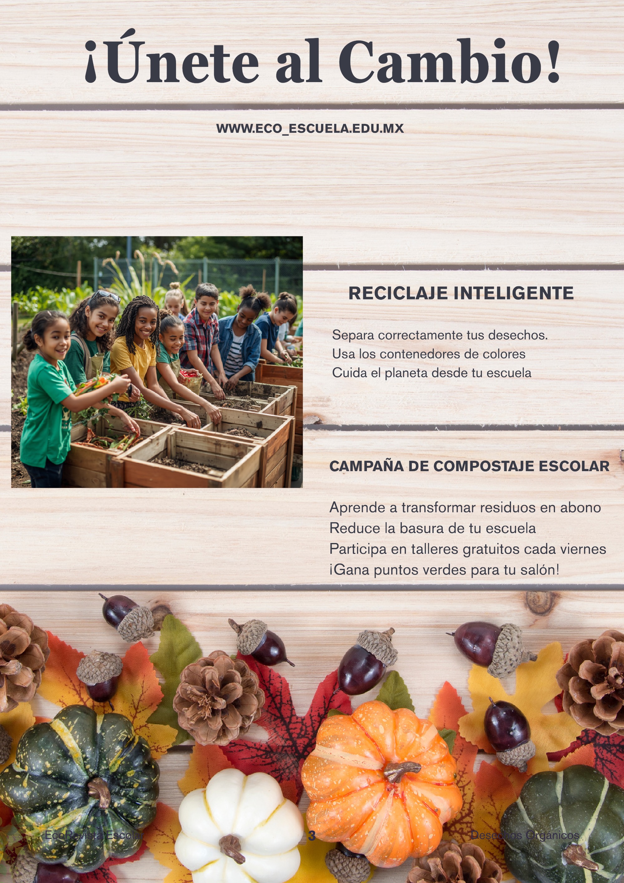 Revista_EcoVida — page 3