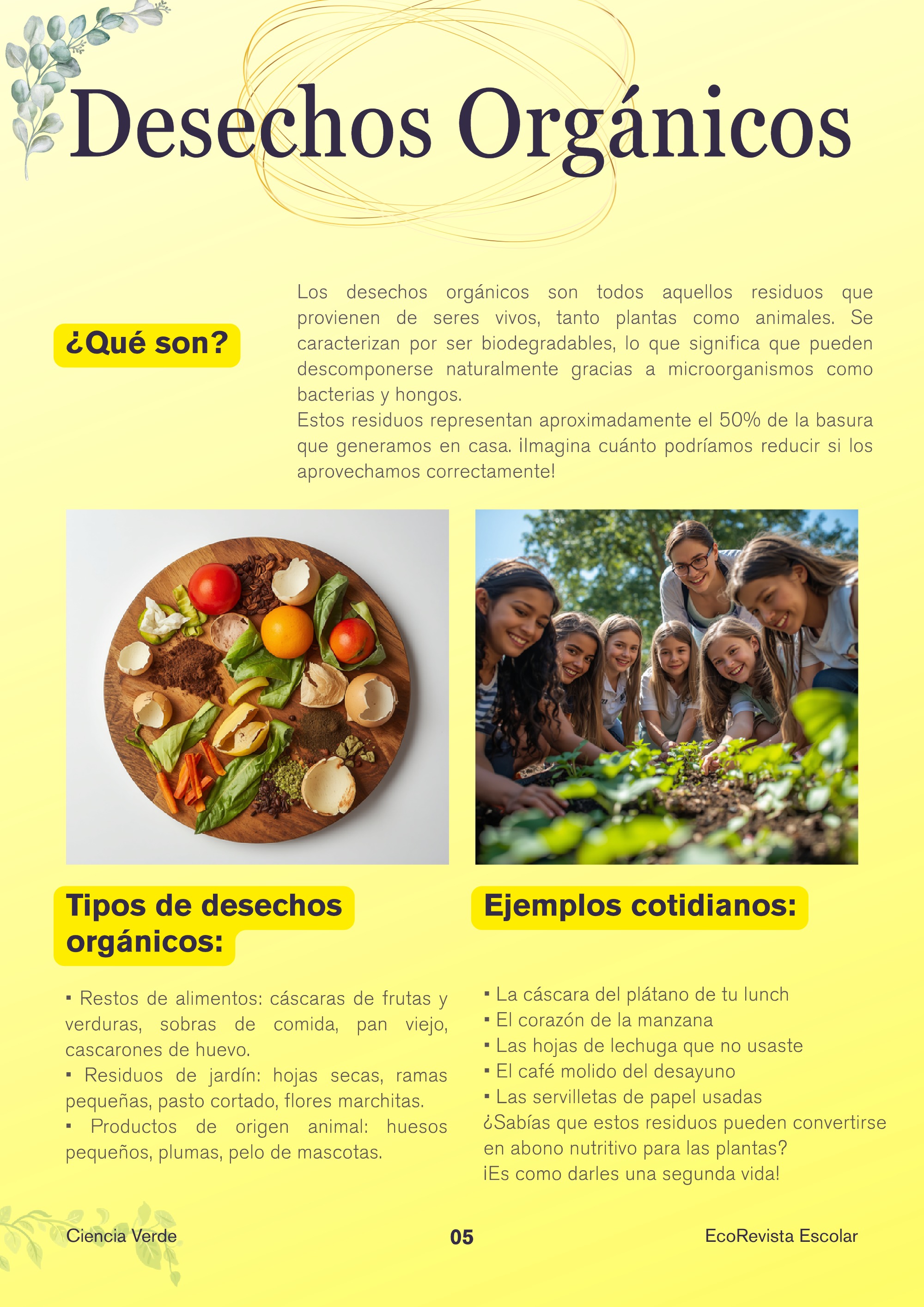 Revista_EcoVida — page 5