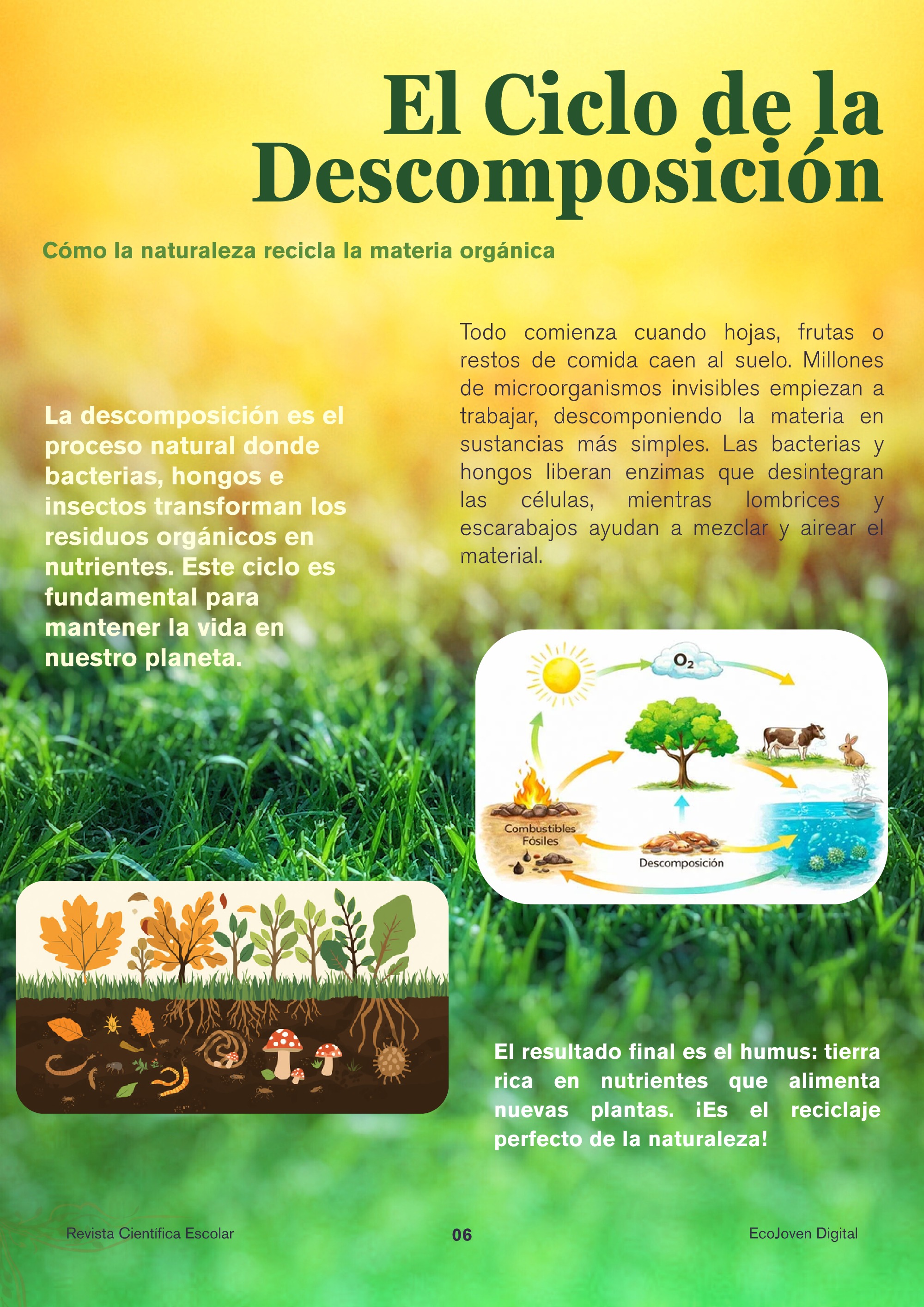 Revista_EcoVida — page 6