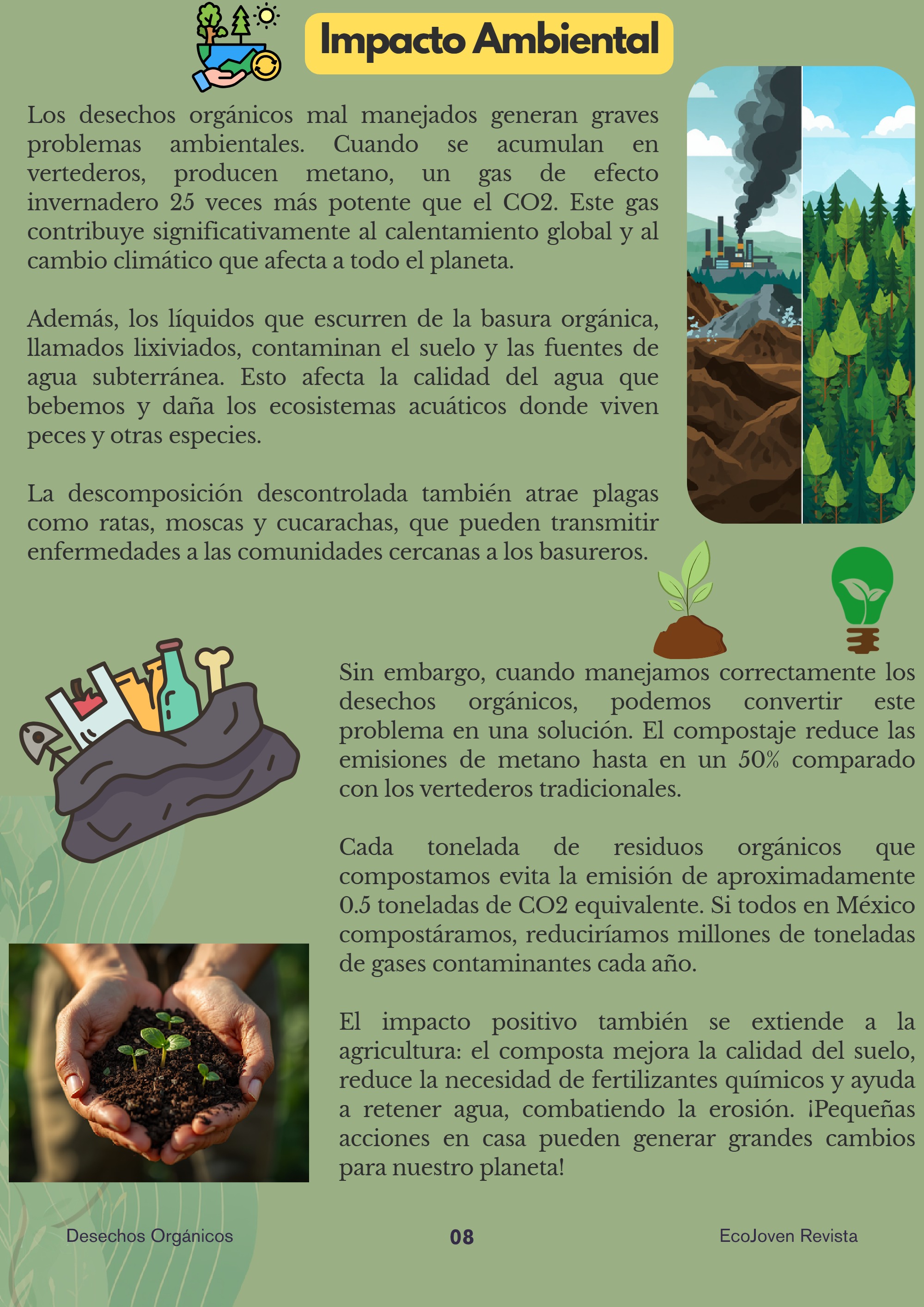 Revista_EcoVida — page 8
