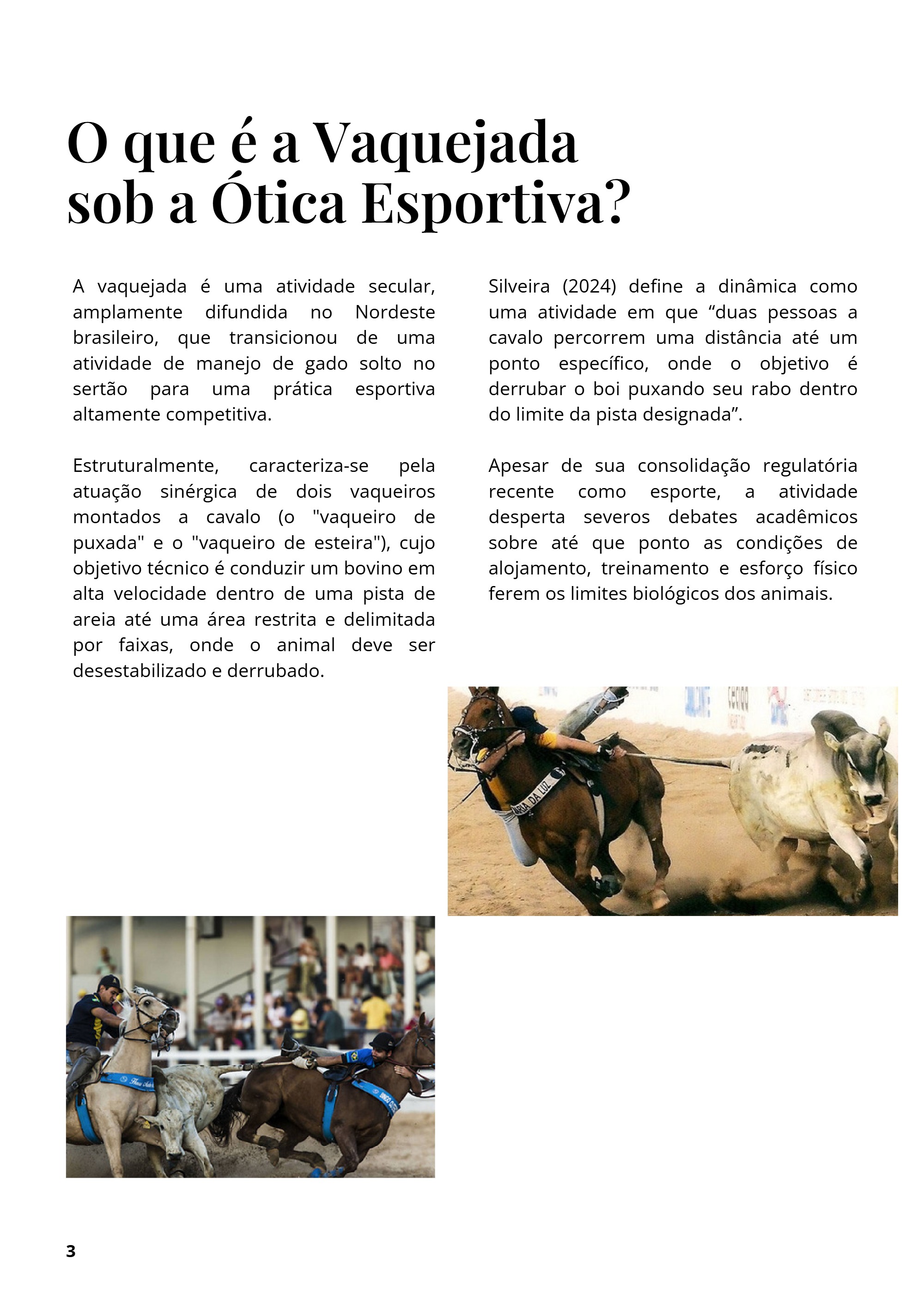 Vaquejada: Tradição ou Crueldade? — page 3