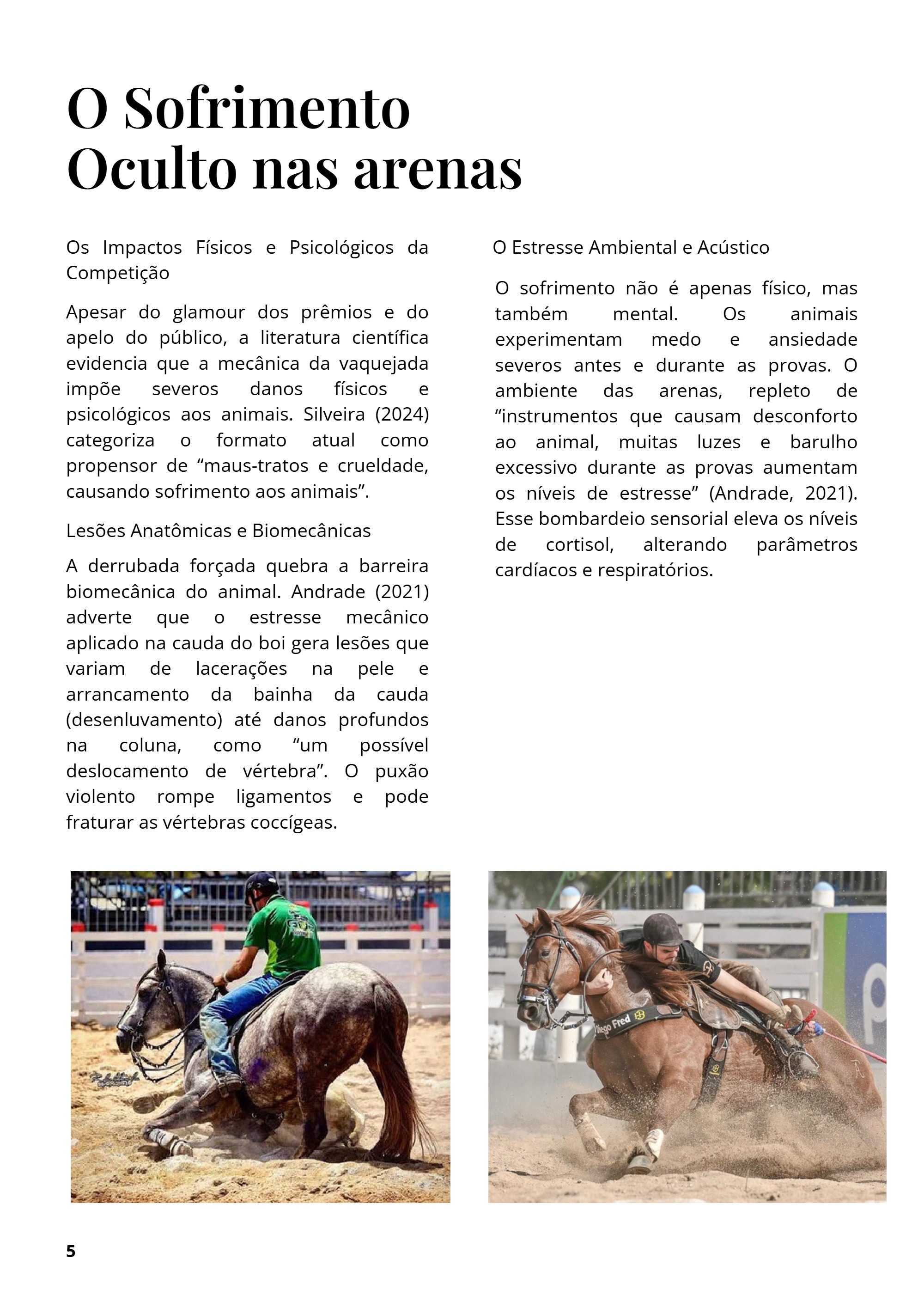 Vaquejada: Tradição ou Crueldade? — page 5