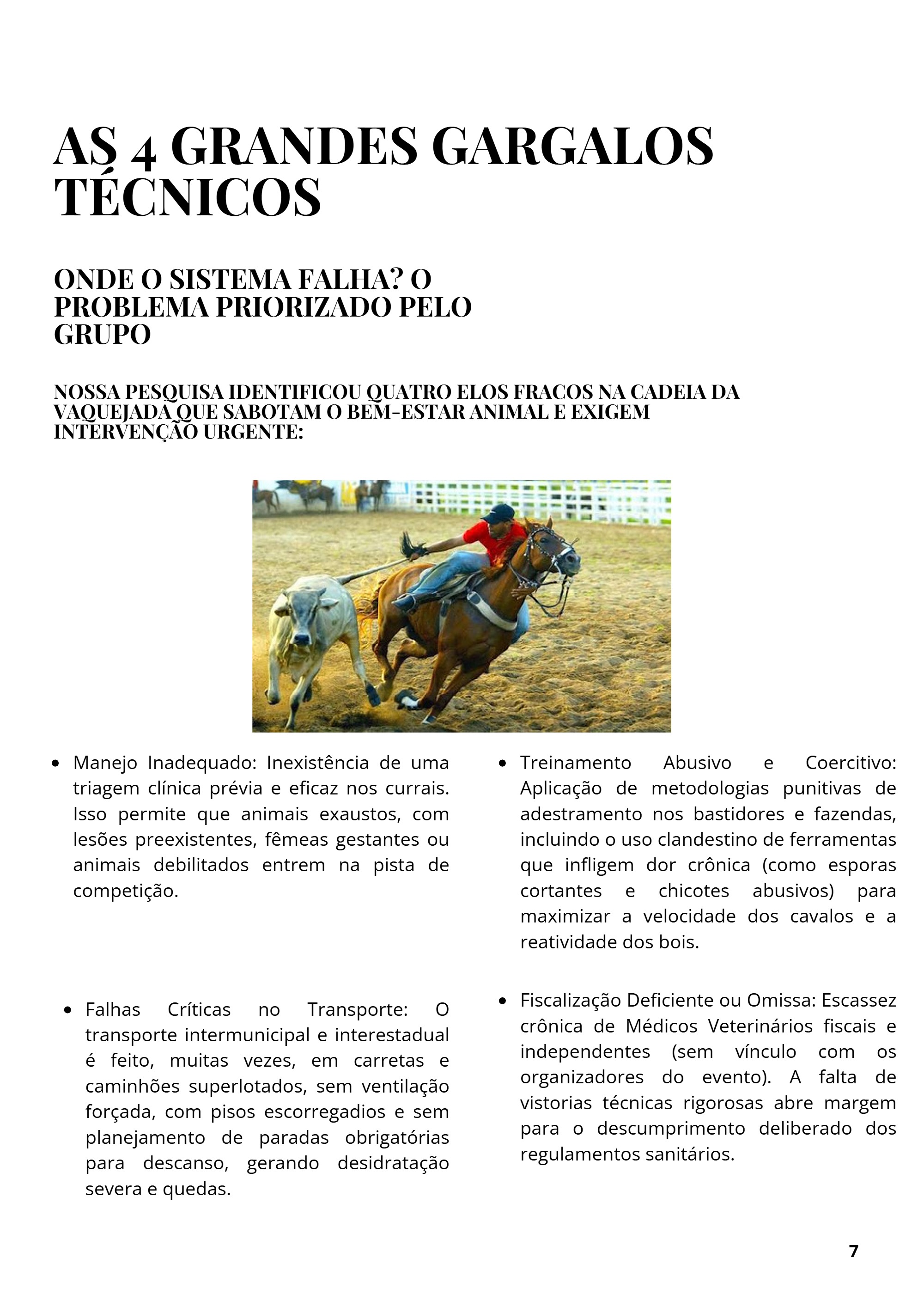 Vaquejada: Tradição ou Crueldade? — page 7