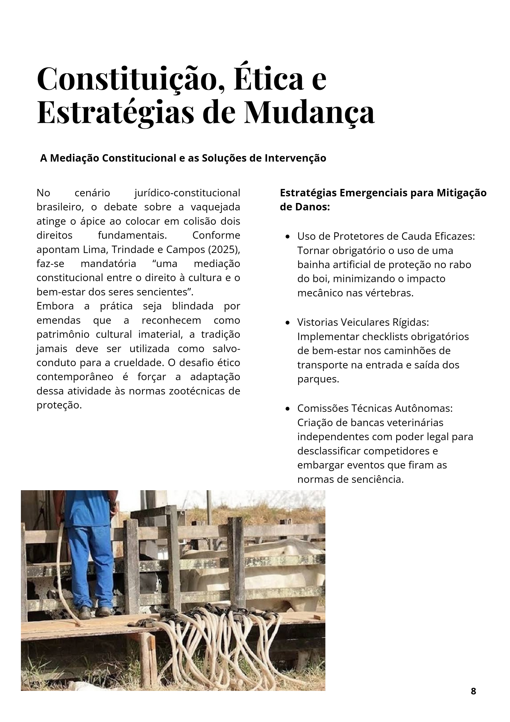 Vaquejada: Tradição ou Crueldade? — page 8