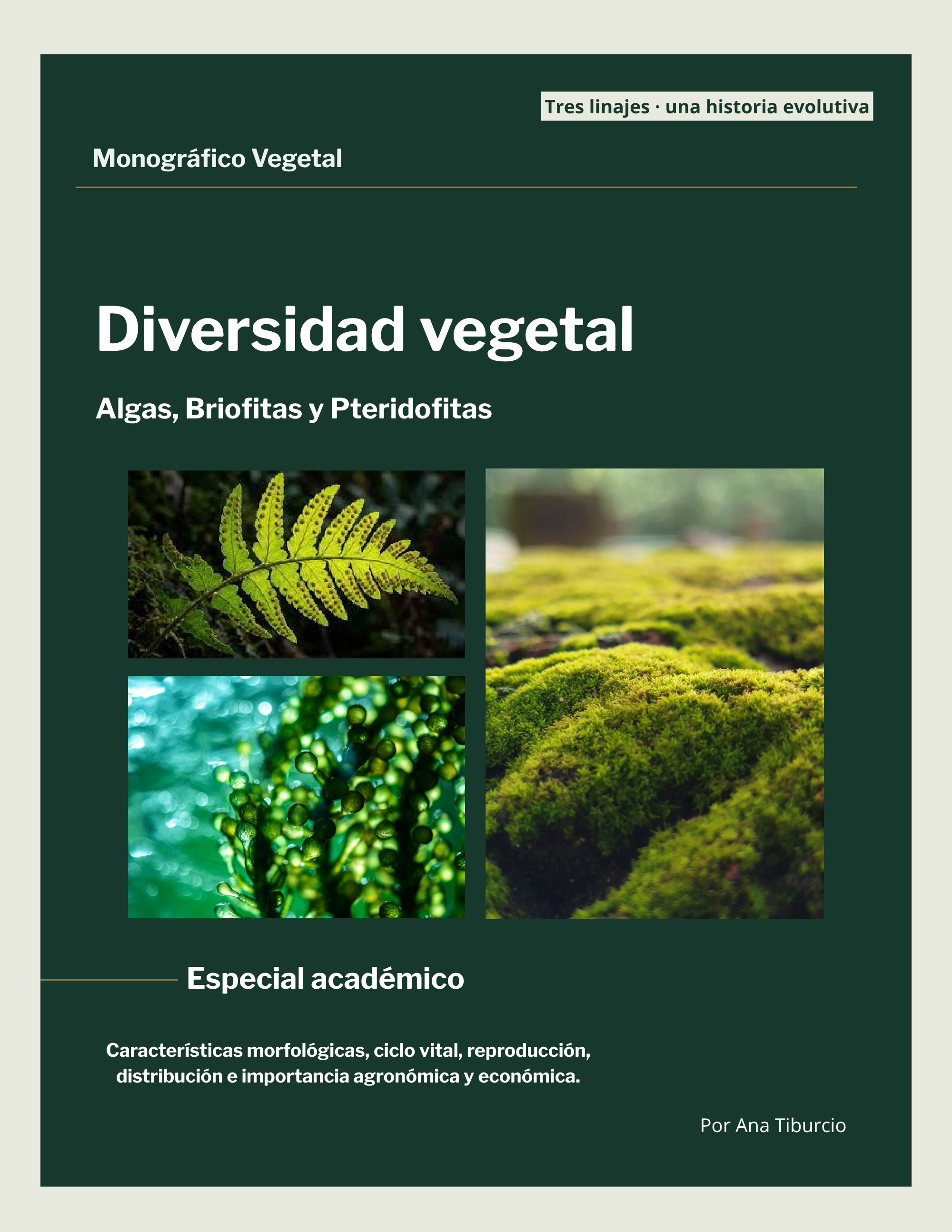 Revista _20260602_112258_0000