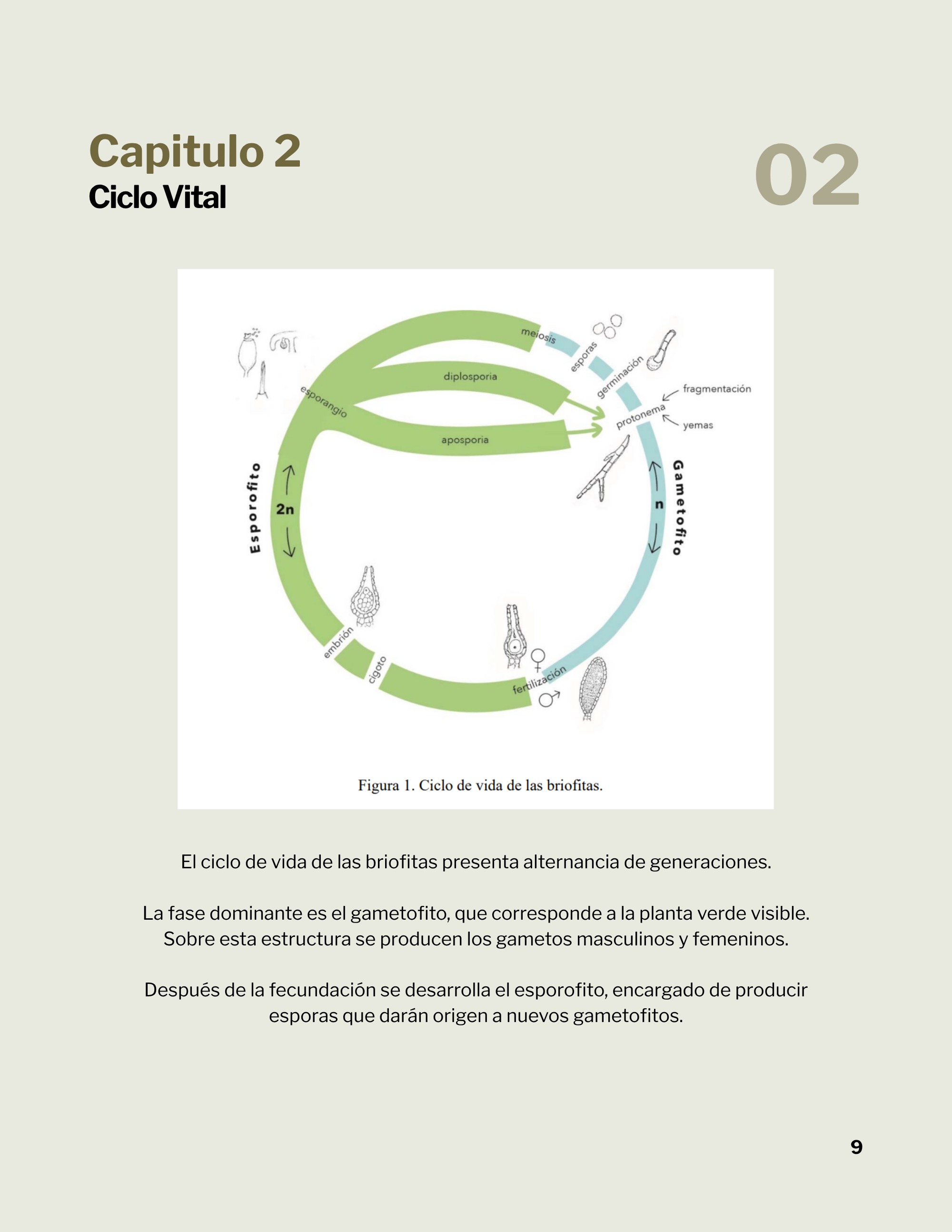 Revista _20260602_112258_0000 — page 12