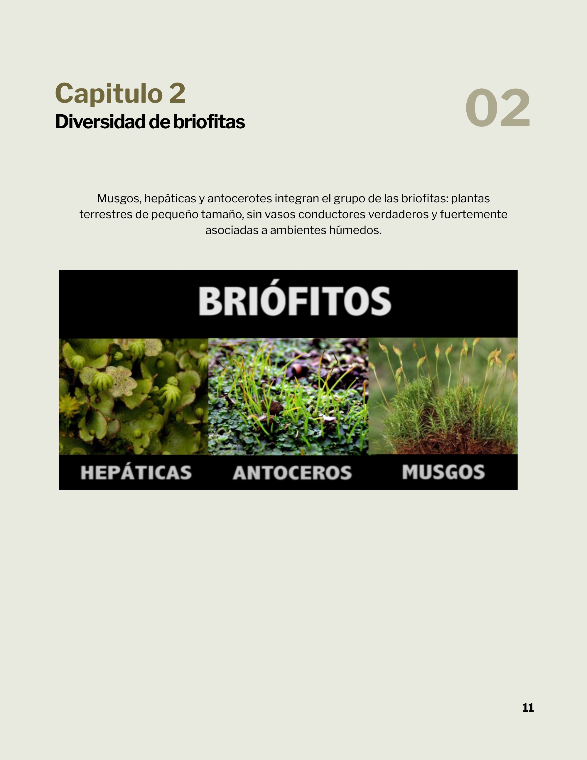 Revista _20260602_112258_0000 — page 14
