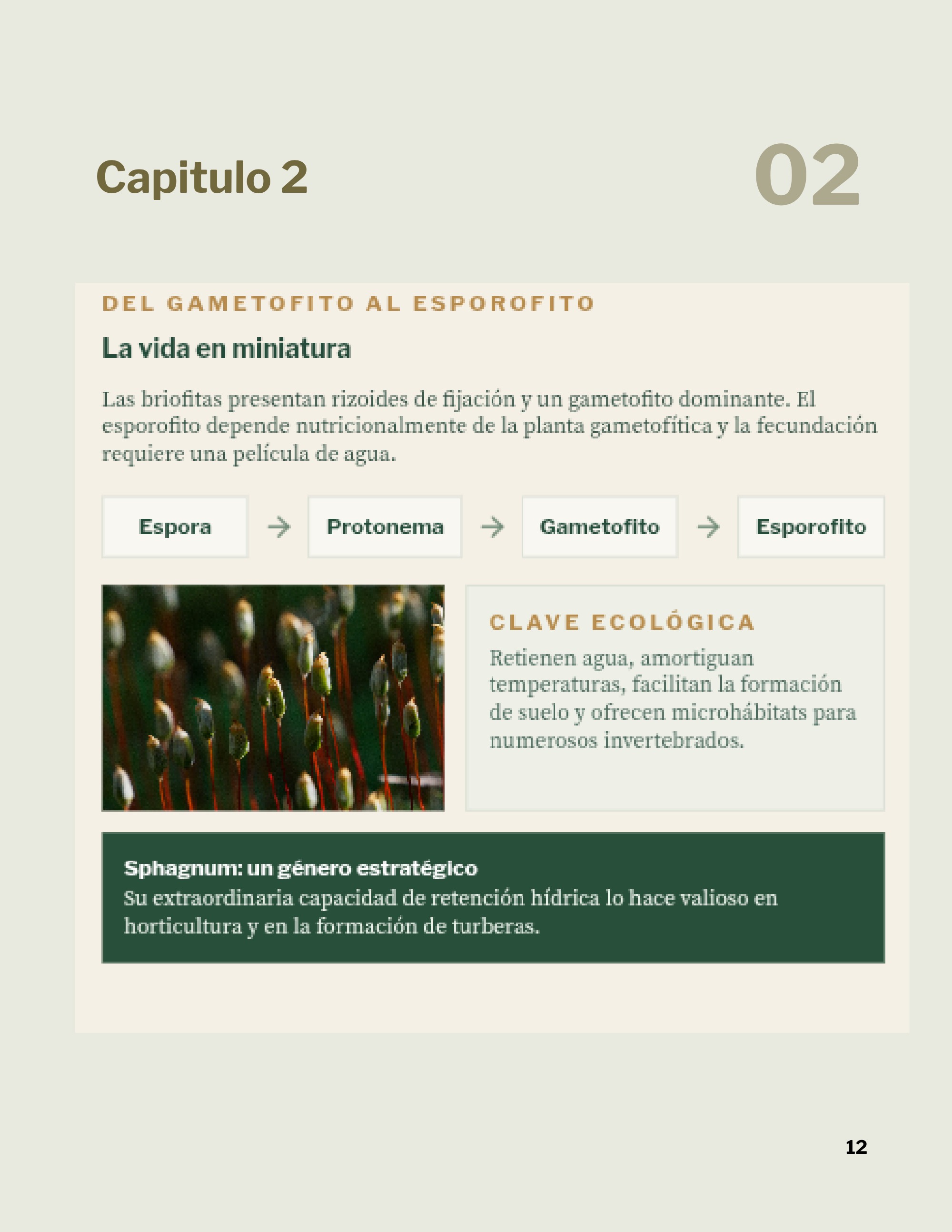 Revista _20260602_112258_0000 — page 15
