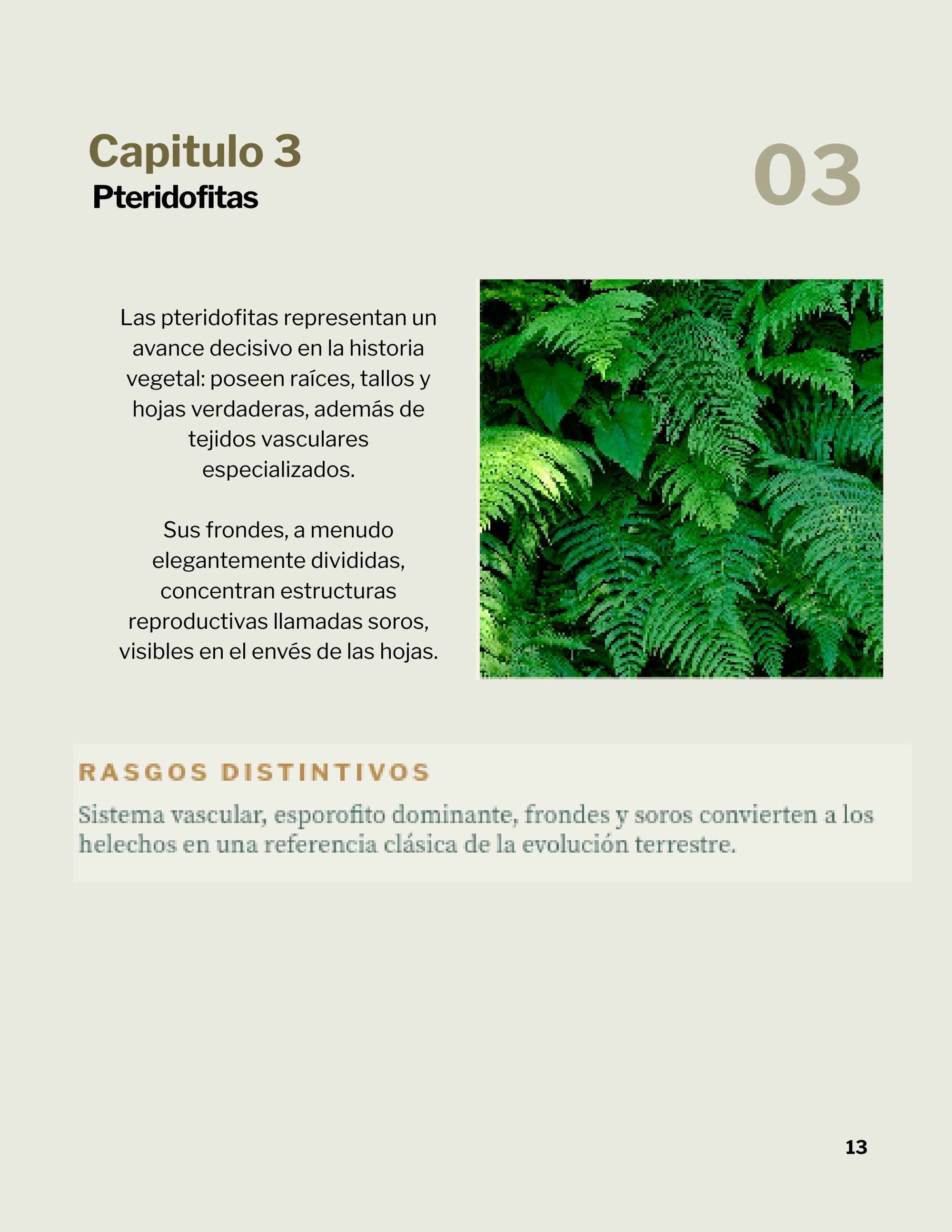 Revista _20260602_112258_0000 — page 16