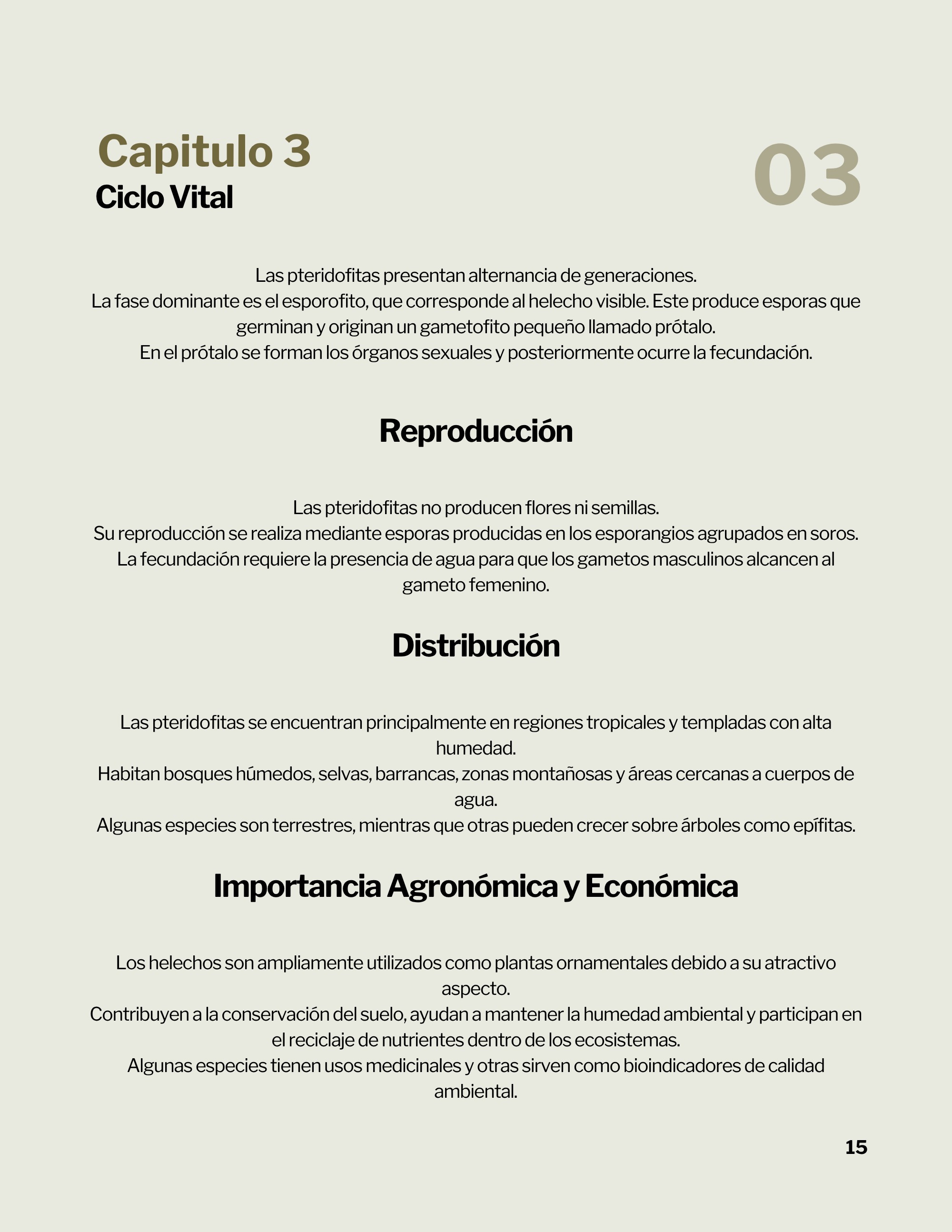 Revista _20260602_112258_0000 — page 18