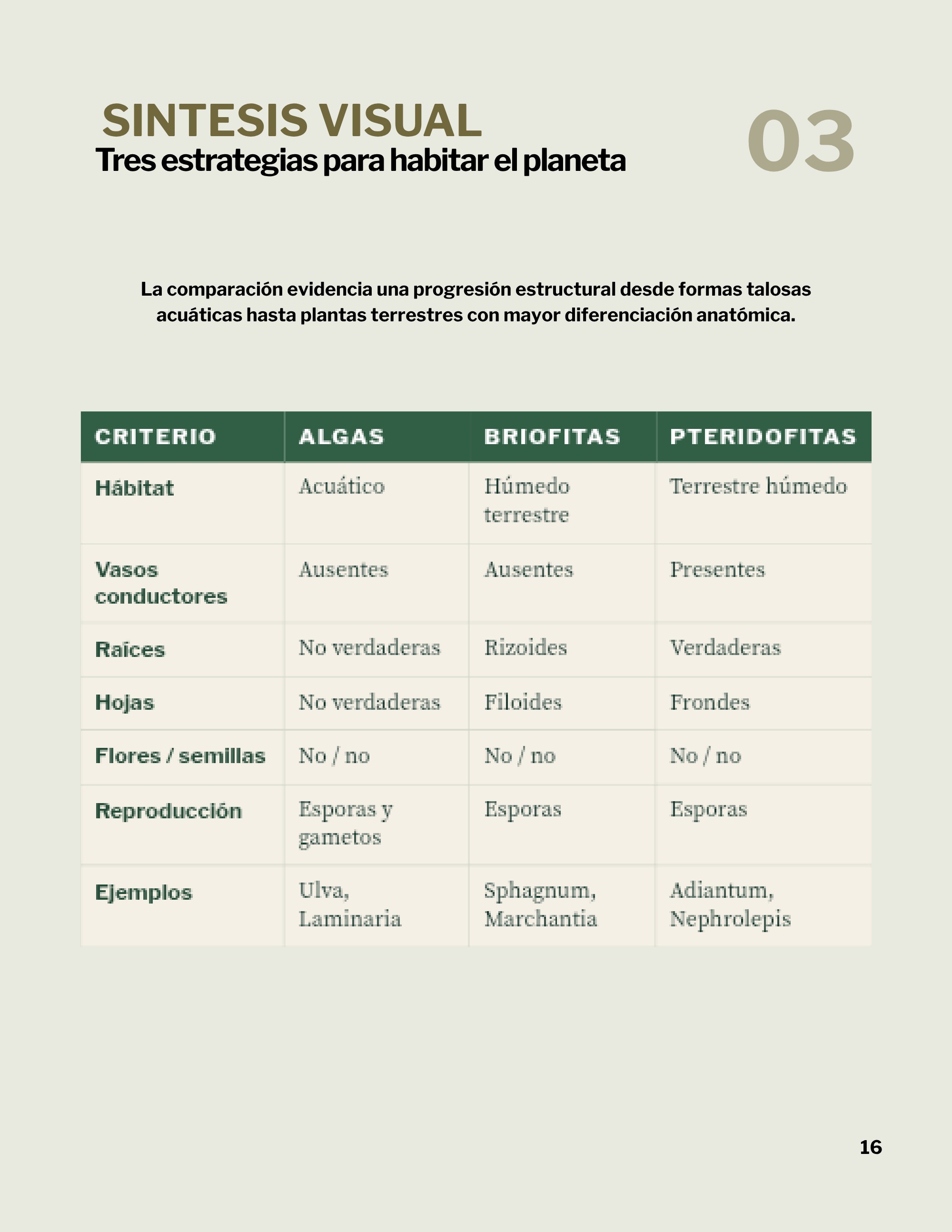 Revista _20260602_112258_0000 — page 19