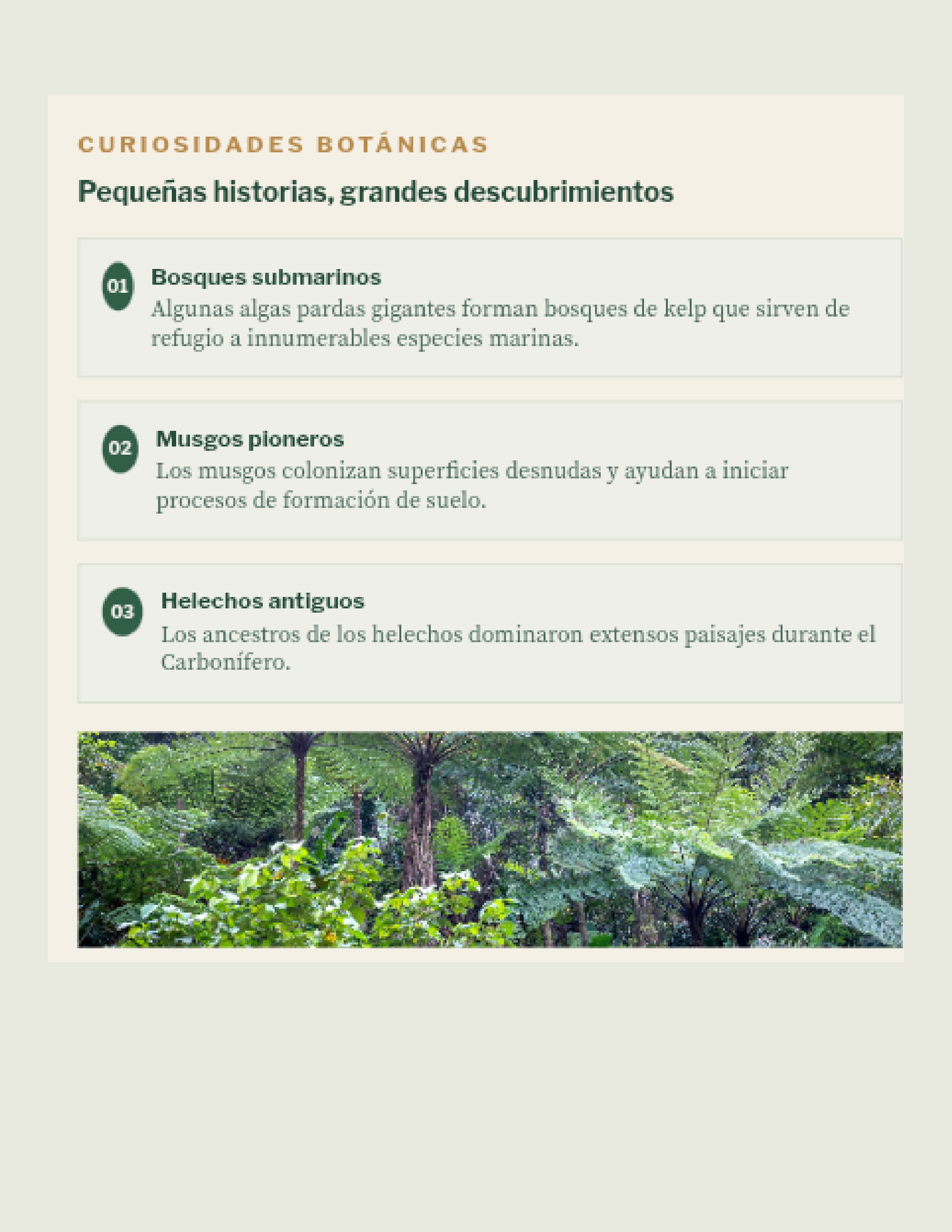 Revista _20260602_112258_0000 — page 20
