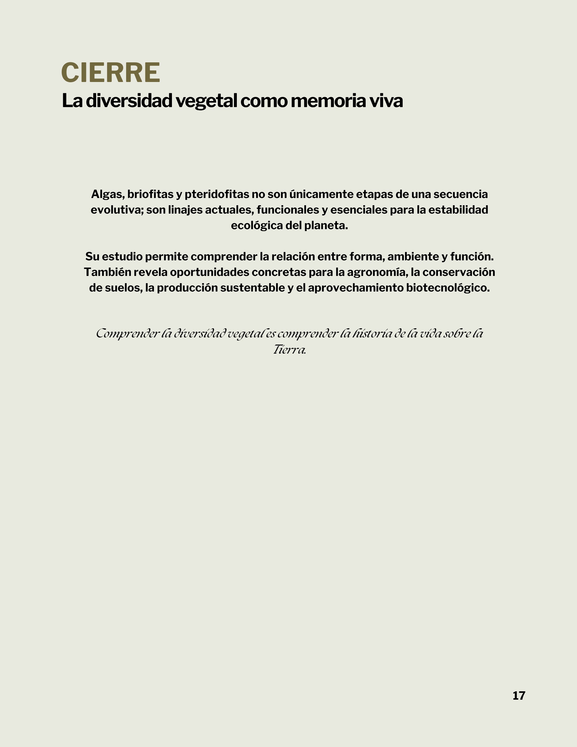 Revista _20260602_112258_0000 — page 21