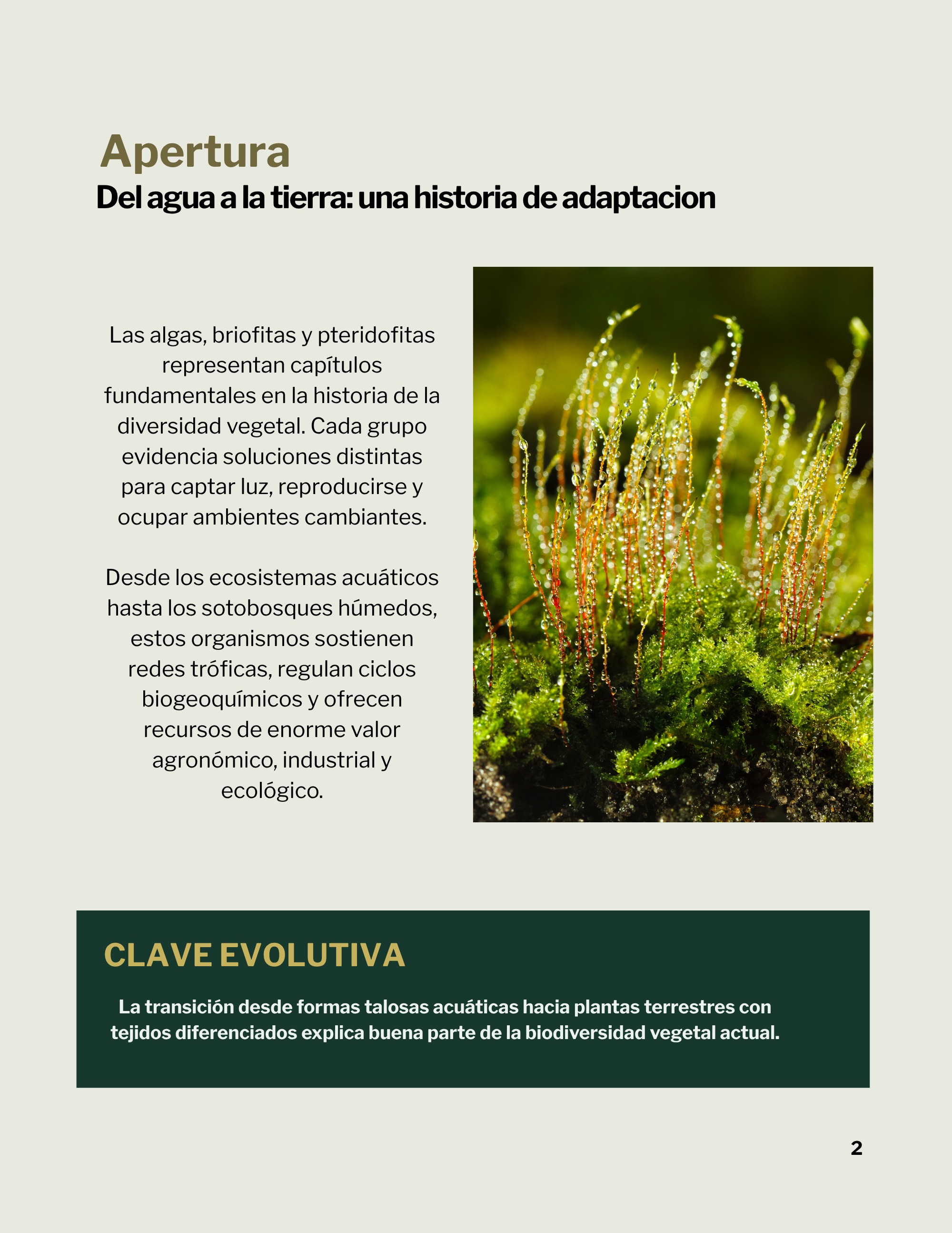 Revista _20260602_112258_0000 — page 5