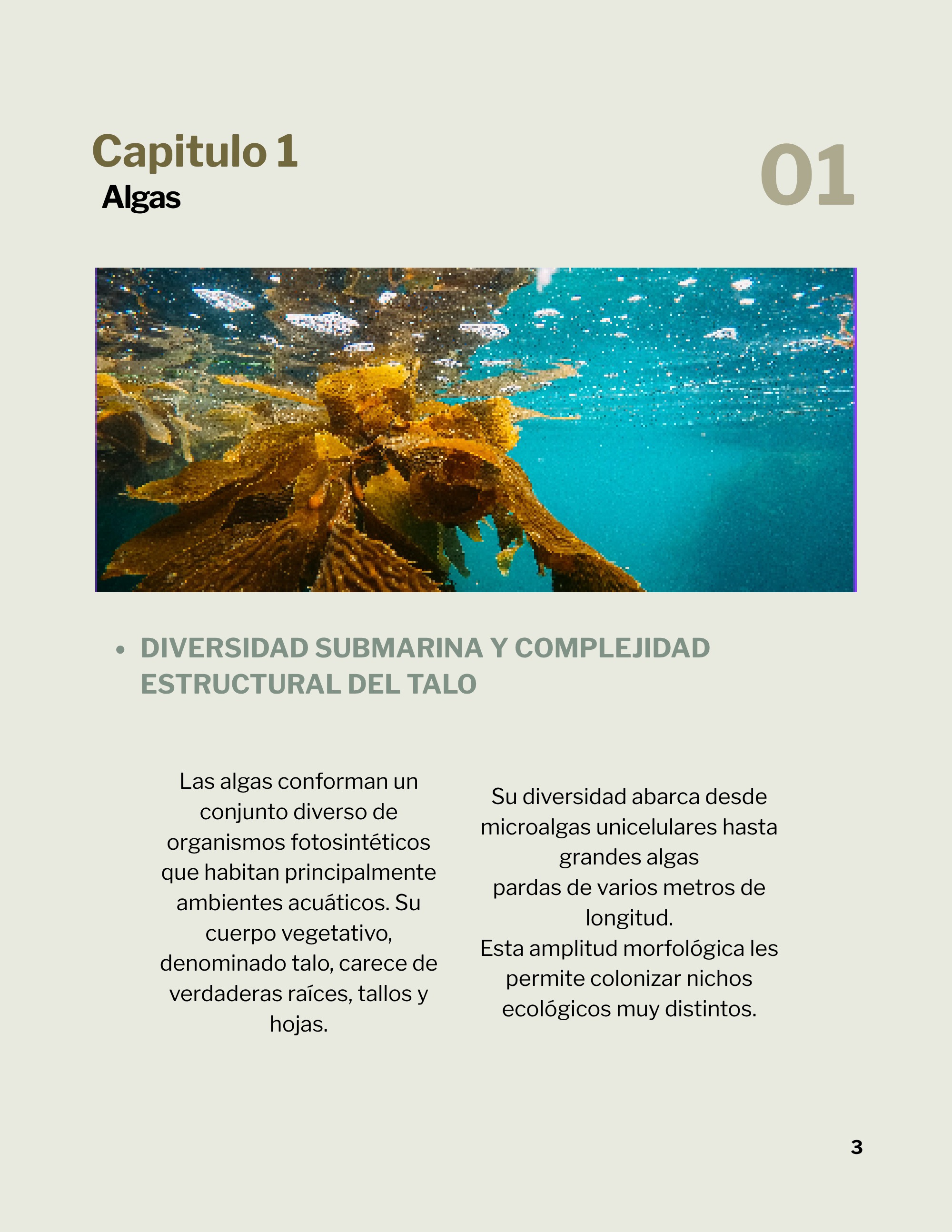 Revista _20260602_112258_0000 — page 6