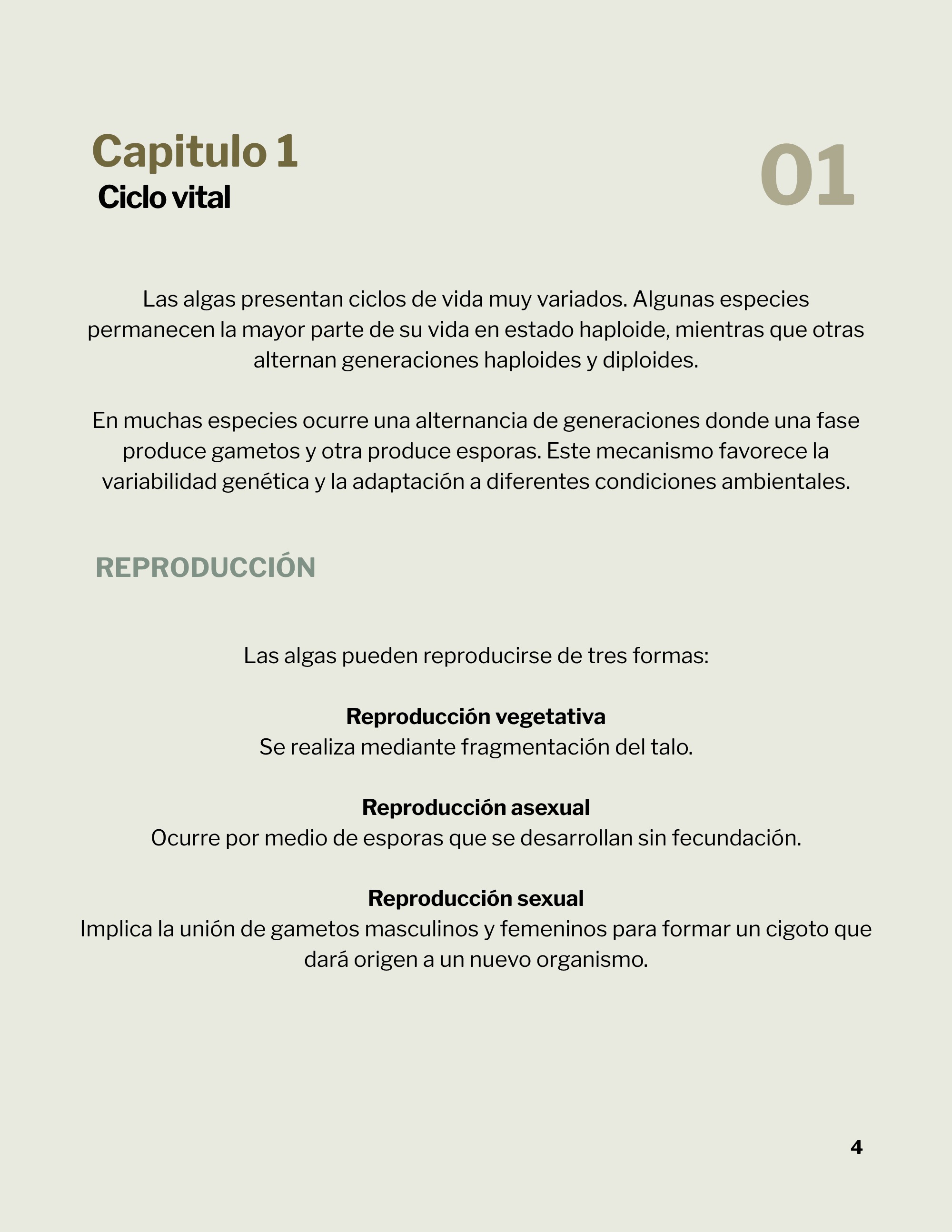 Revista _20260602_112258_0000 — page 7