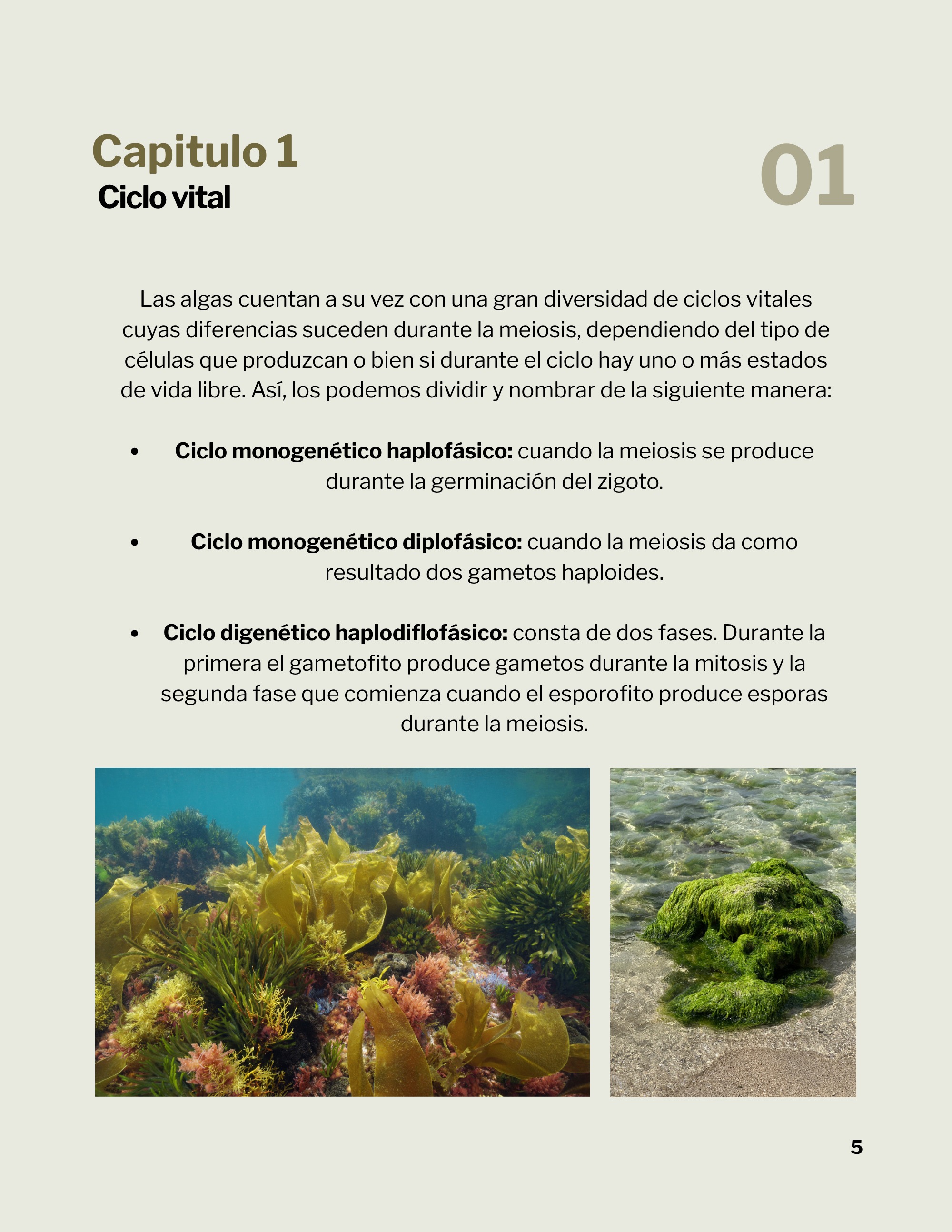 Revista _20260602_112258_0000 — page 8
