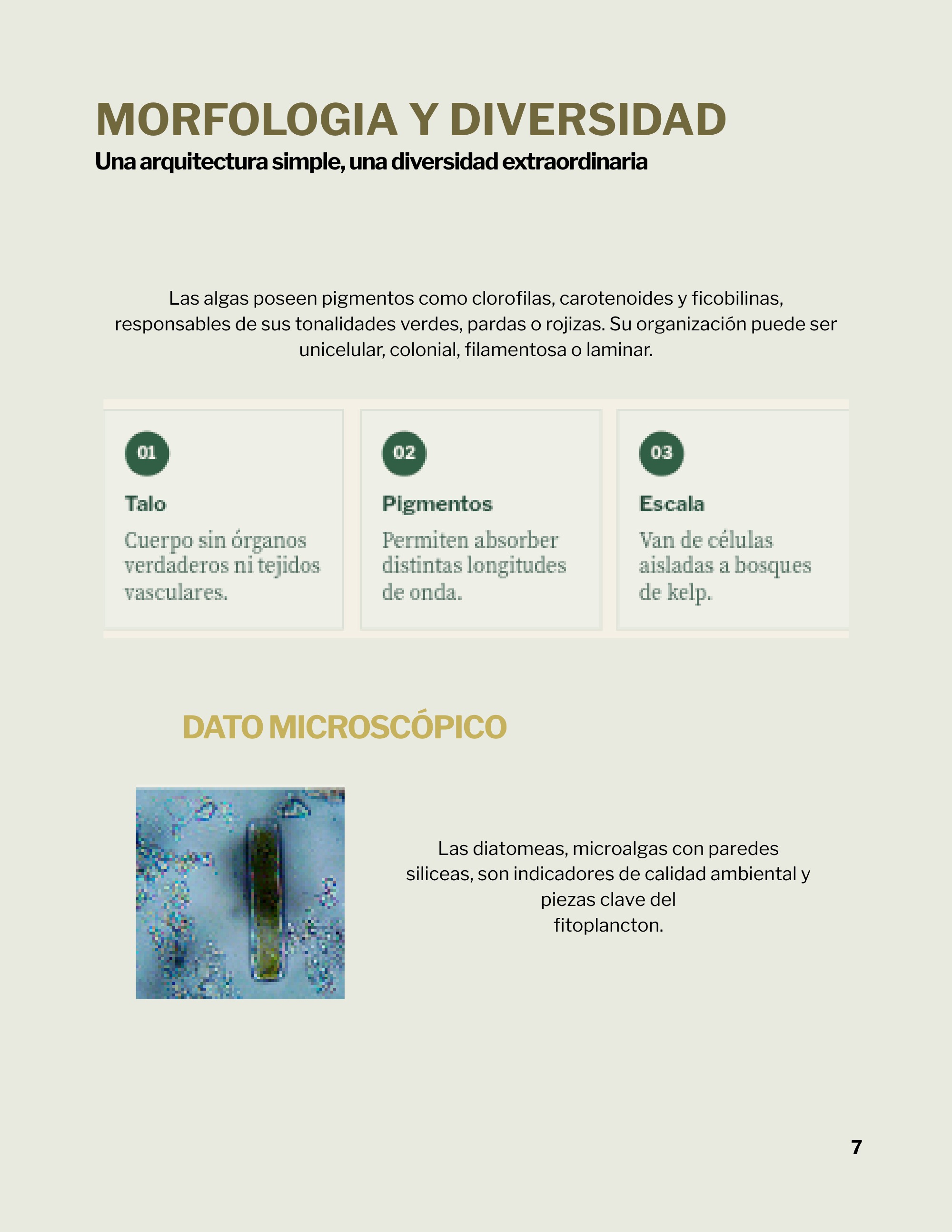 Revista _20260602_112258_0000 — page 10