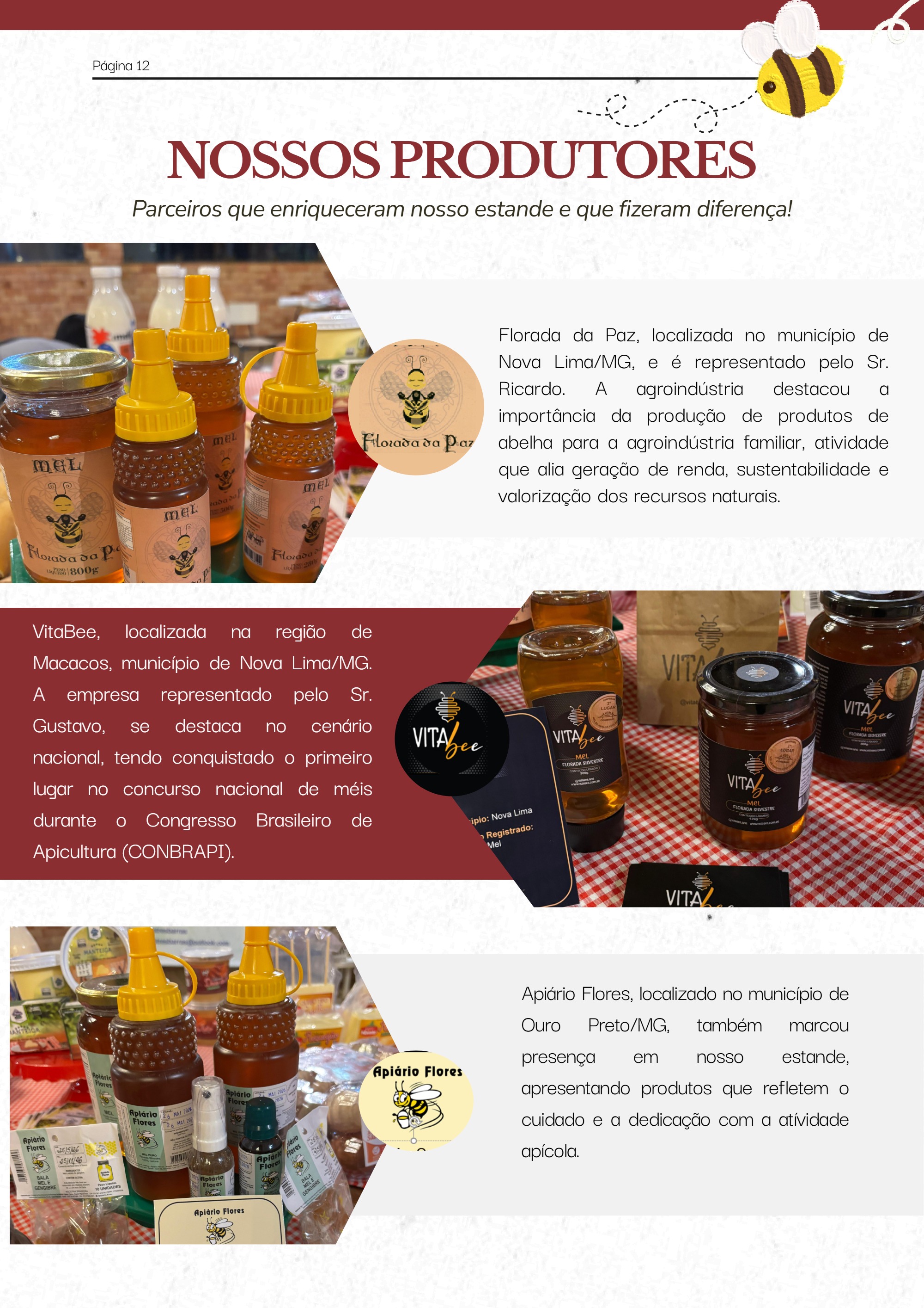 SIM-CODAP: Conectando Inspeção, Educação e Agroindústria Familiar — page 12